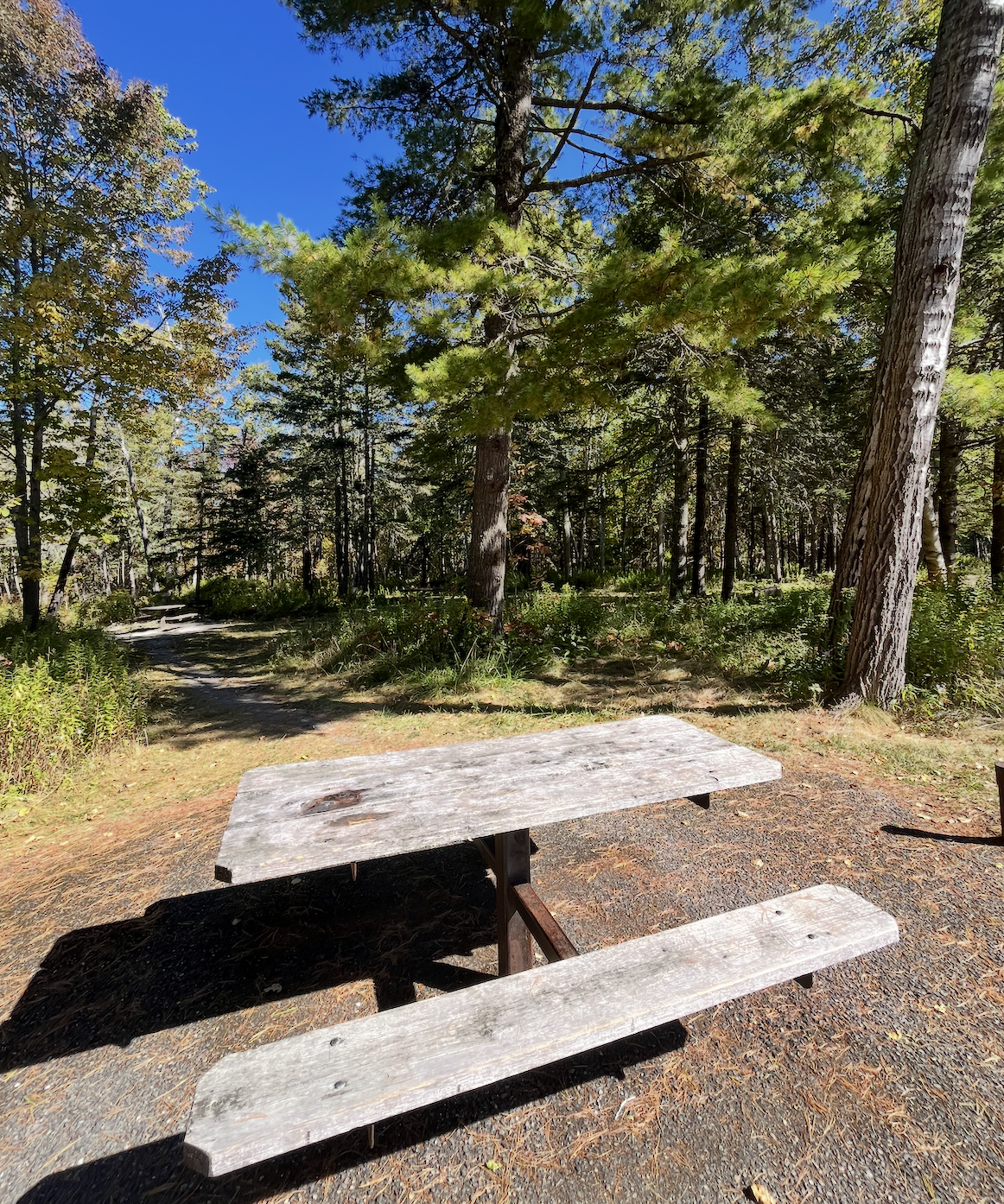 Screenshot 2025-10-16 at 11.14.09 AM.png