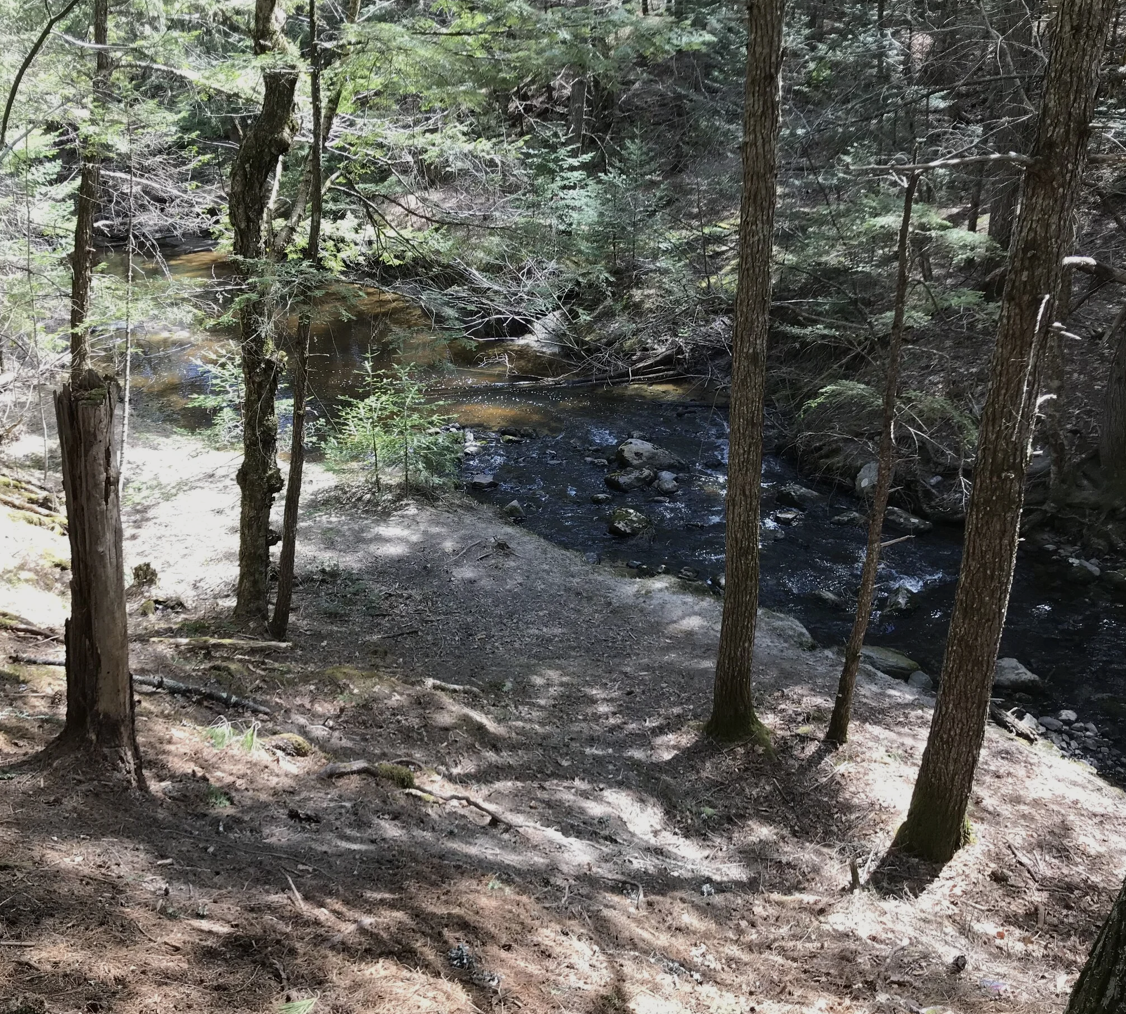 Screenshot 2026-03-18 at 3.39.08 PM.png