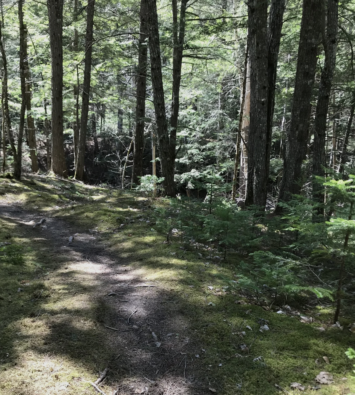 Screenshot 2026-03-18 at 3.39.21 PM.png