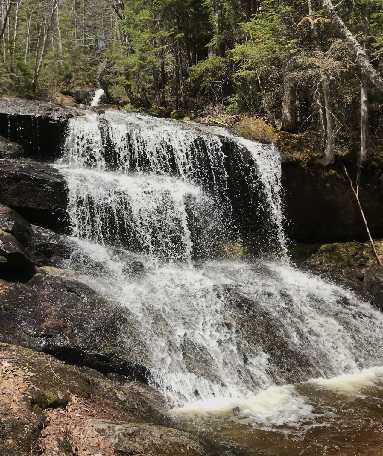 Screenshot 2026-03-22 at 3.55.58 PM.png