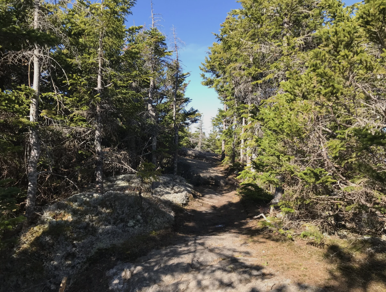 Screenshot 2026-03-22 at 3.56.03 PM.png