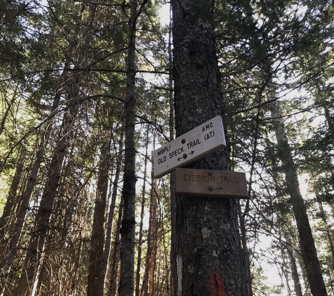 Screenshot 2026-03-22 at 3.56.10 PM.png