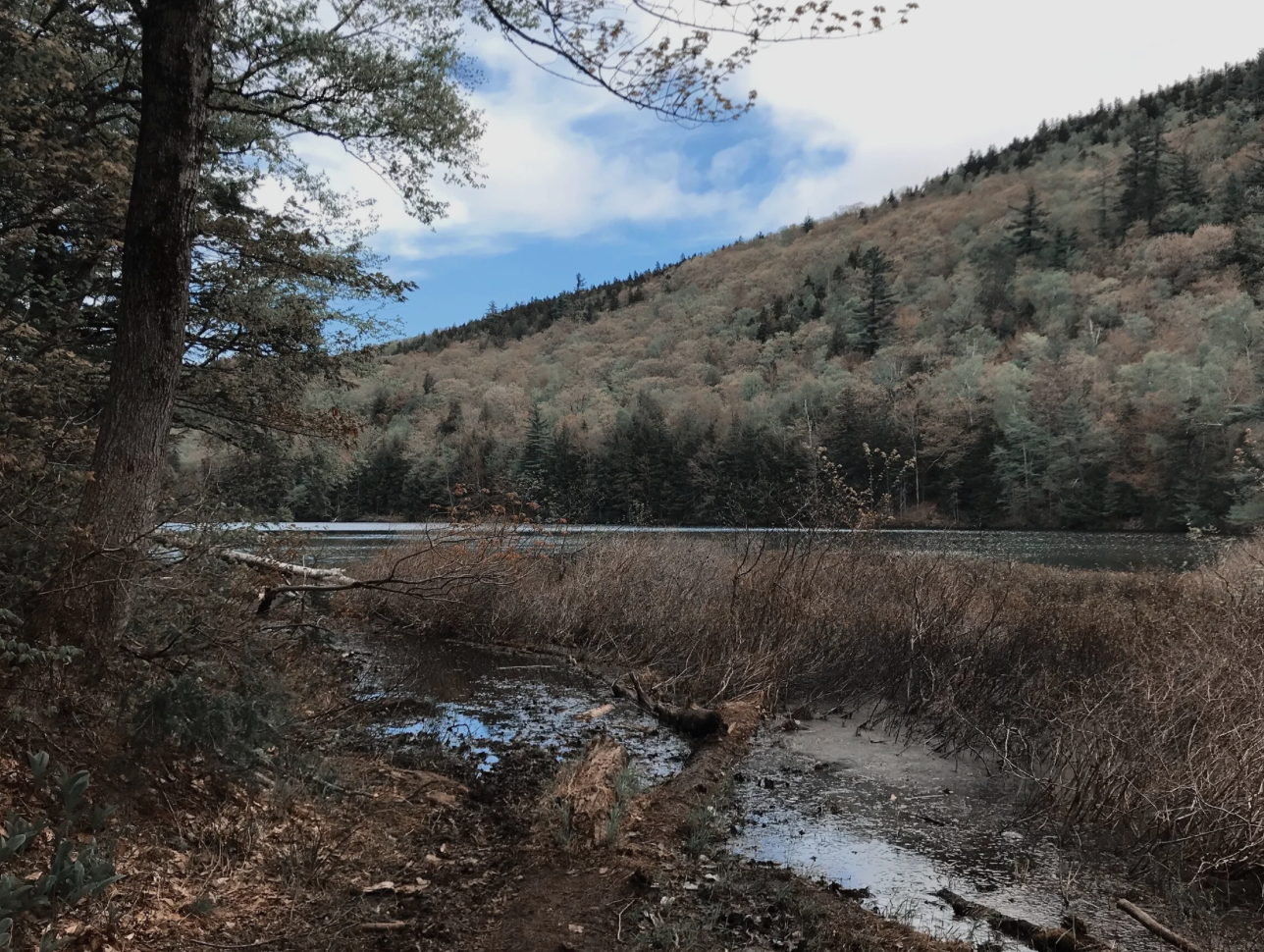 Screenshot 2026-03-24 at 2.27.56 PM.png