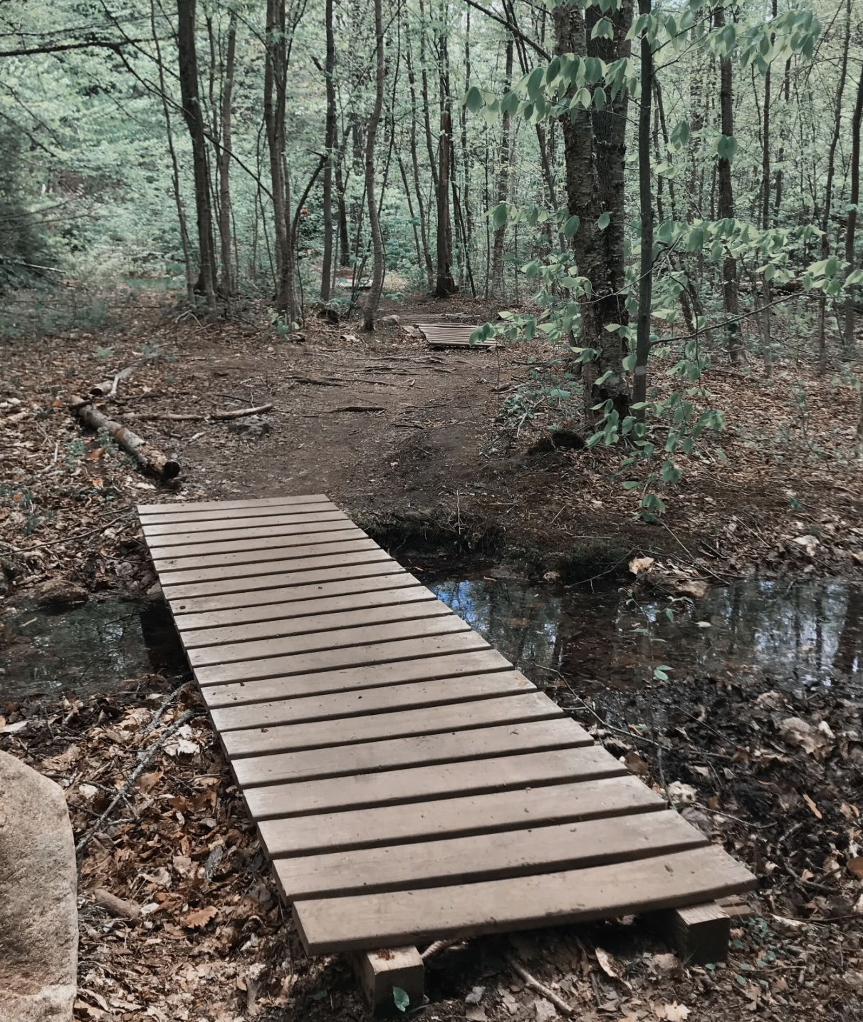 Screenshot 2026-03-24 at 2.27.50 PM.png