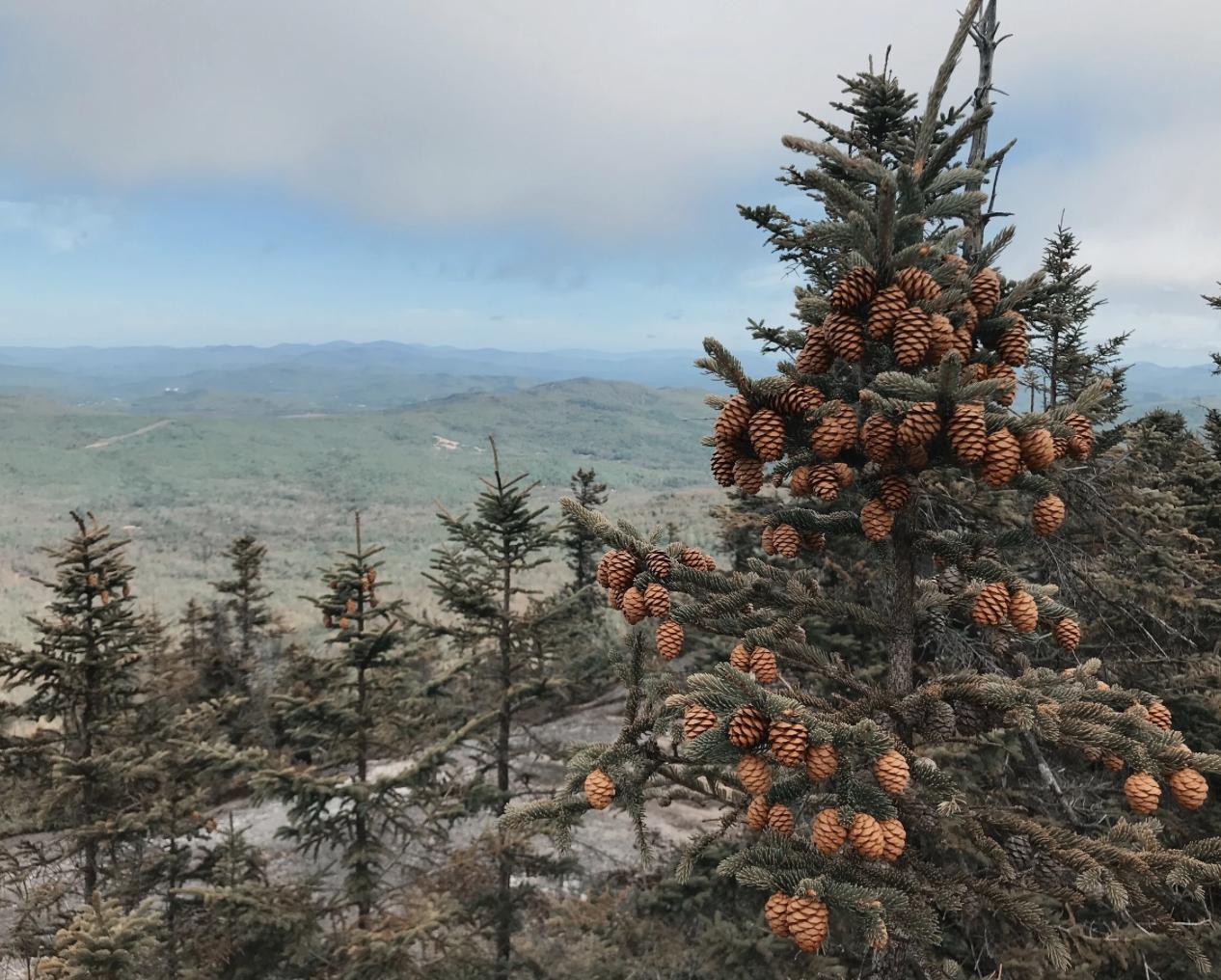 Screenshot 2026-03-24 at 2.28.28 PM.png