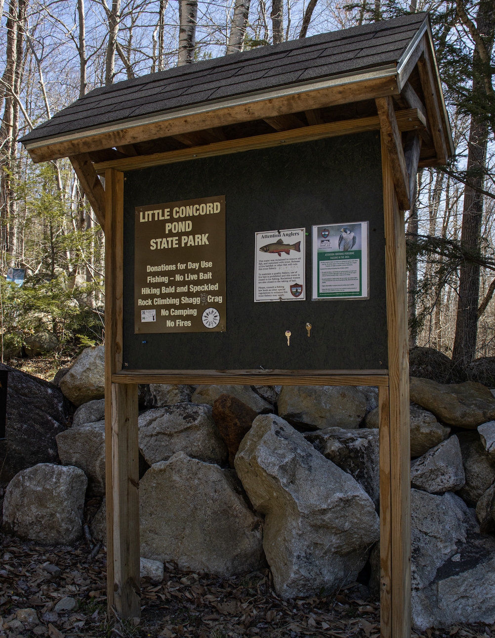 Screenshot 2026-03-24 at 2.49.47 PM.png