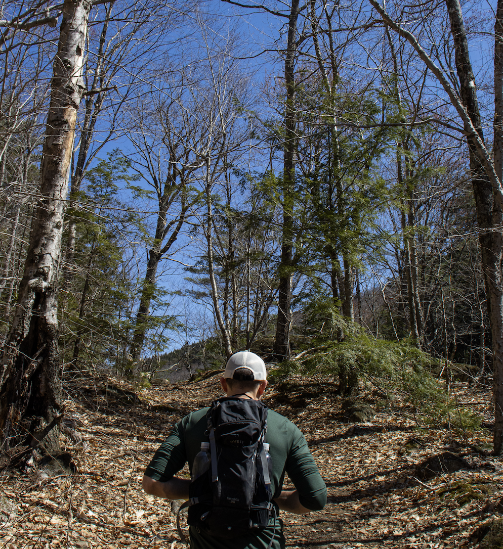 Screenshot 2026-03-24 at 2.50.03 PM.png