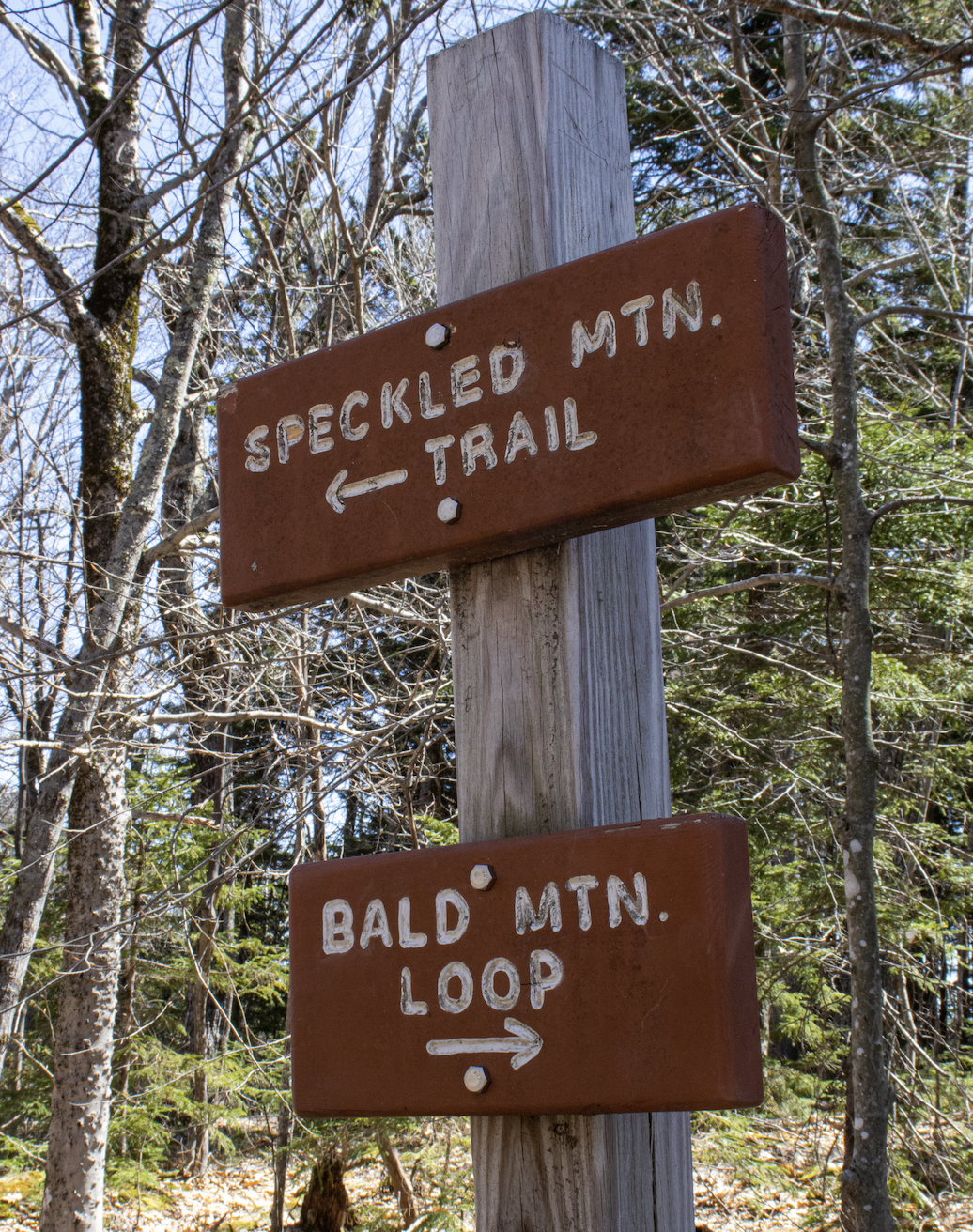 Screenshot 2026-03-24 at 2.50.27 PM.png