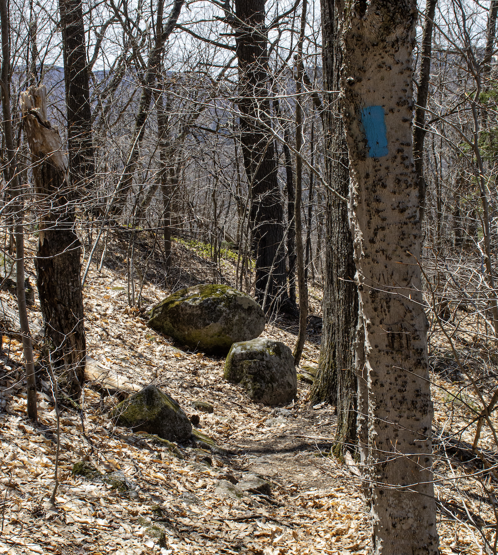 Screenshot 2026-03-24 at 2.51.29 PM.png