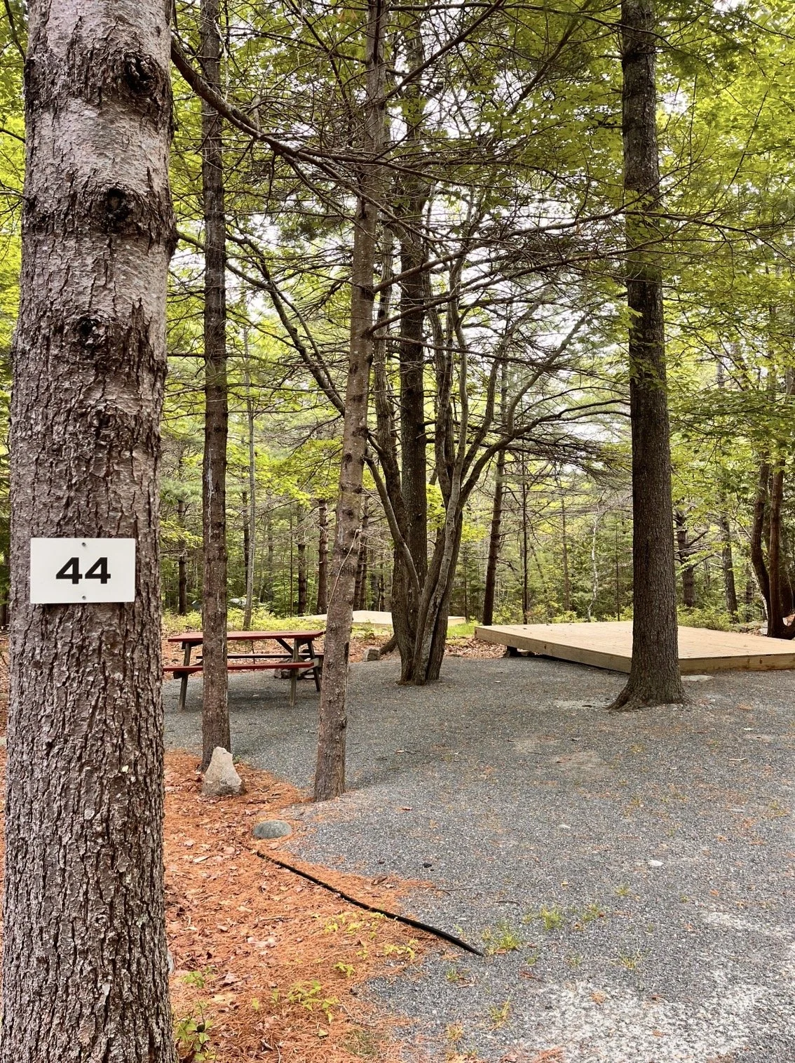 Camping at Quarry Ledge Campground Near Acadia National Park