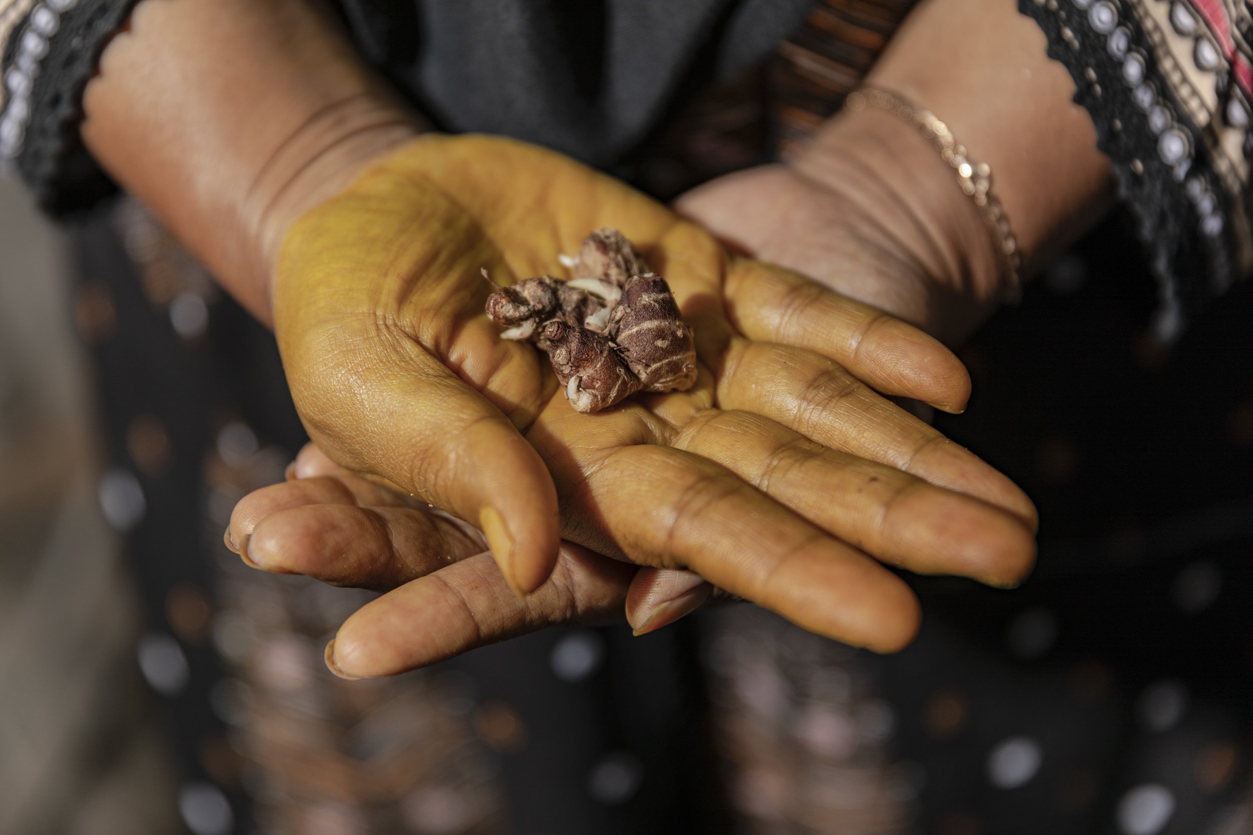  Signature of the jamu lady, Mulatsih's right hand tinted yeallow from squeezing turmeric everyday. 