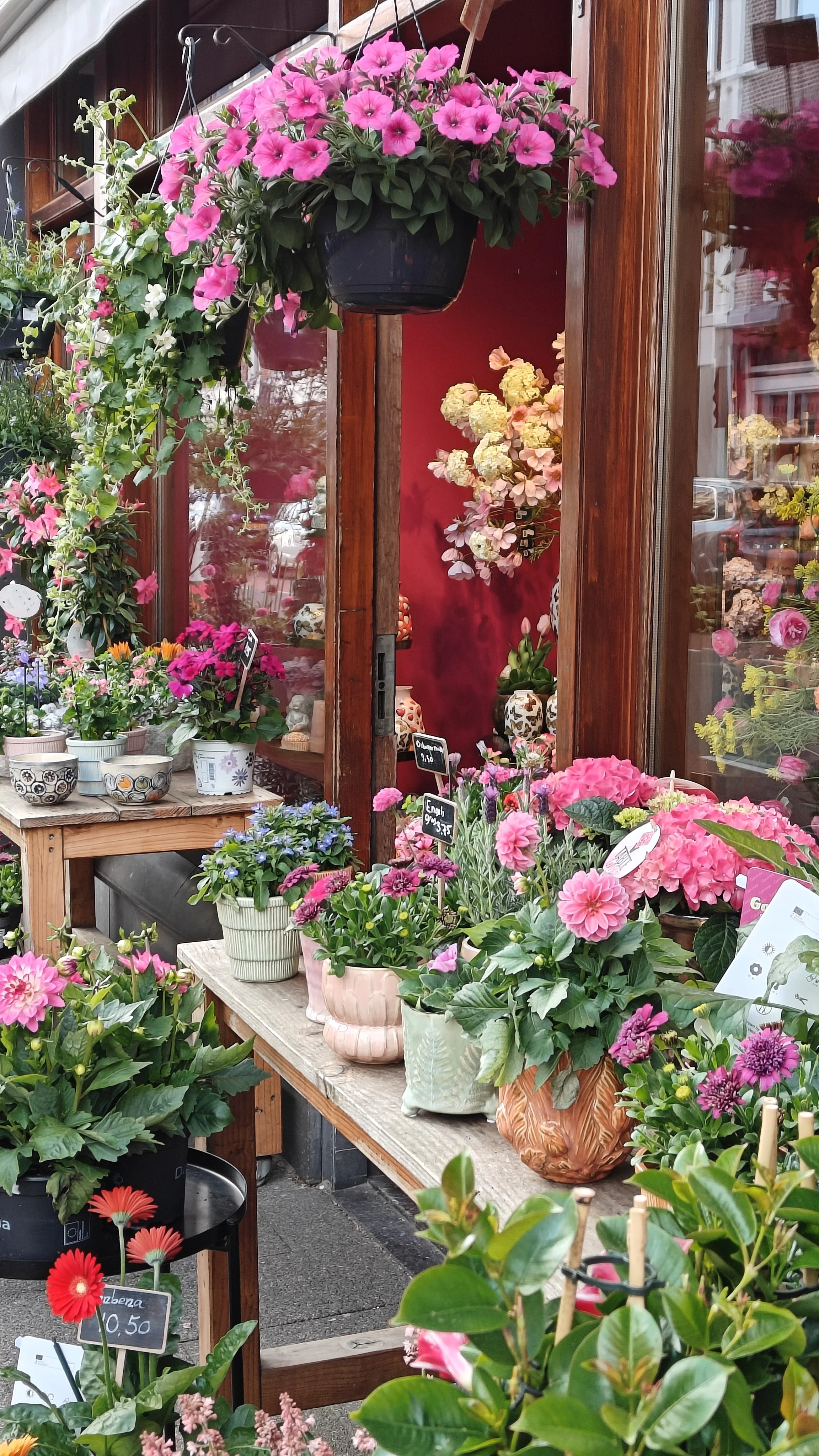 4 Types of PCOS &amp; How To Know Which One You Have