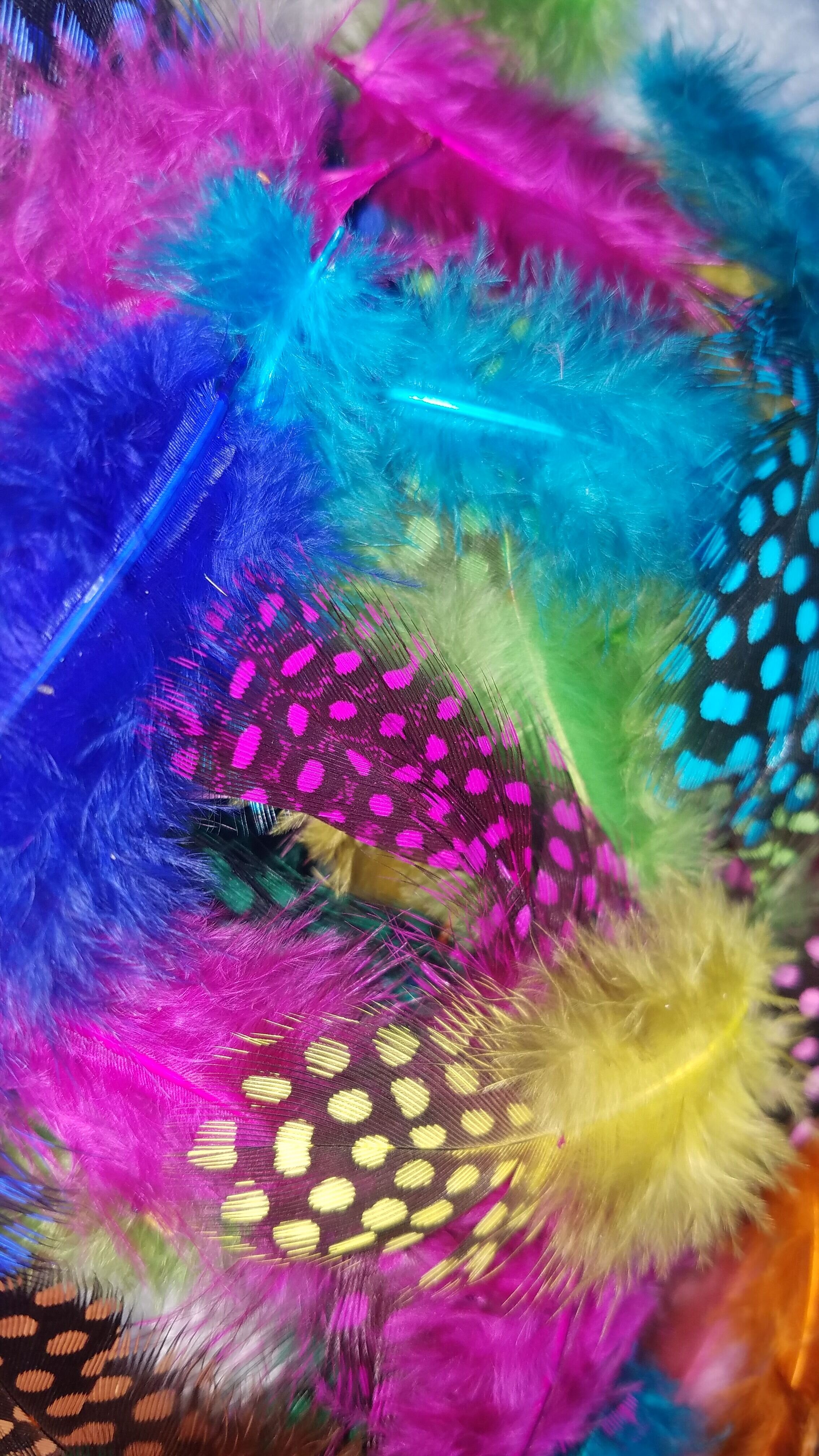 IMG-20190725-WA0009.jpeg