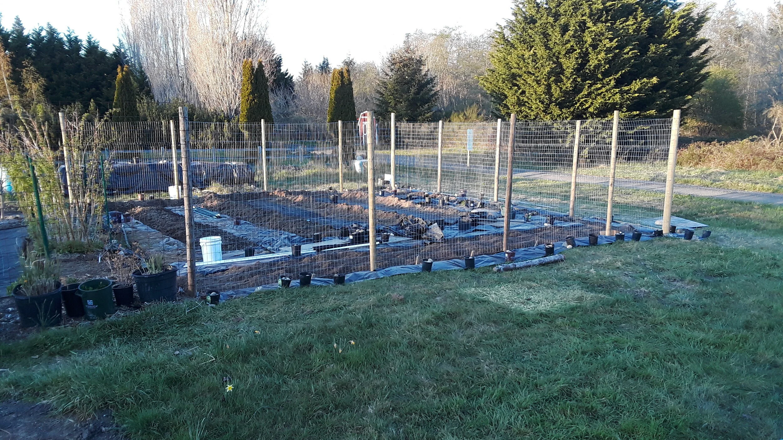 Farm Expansion Step 2 - Fence Building
