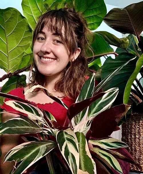 Indoor Plant Care Blog Introduction