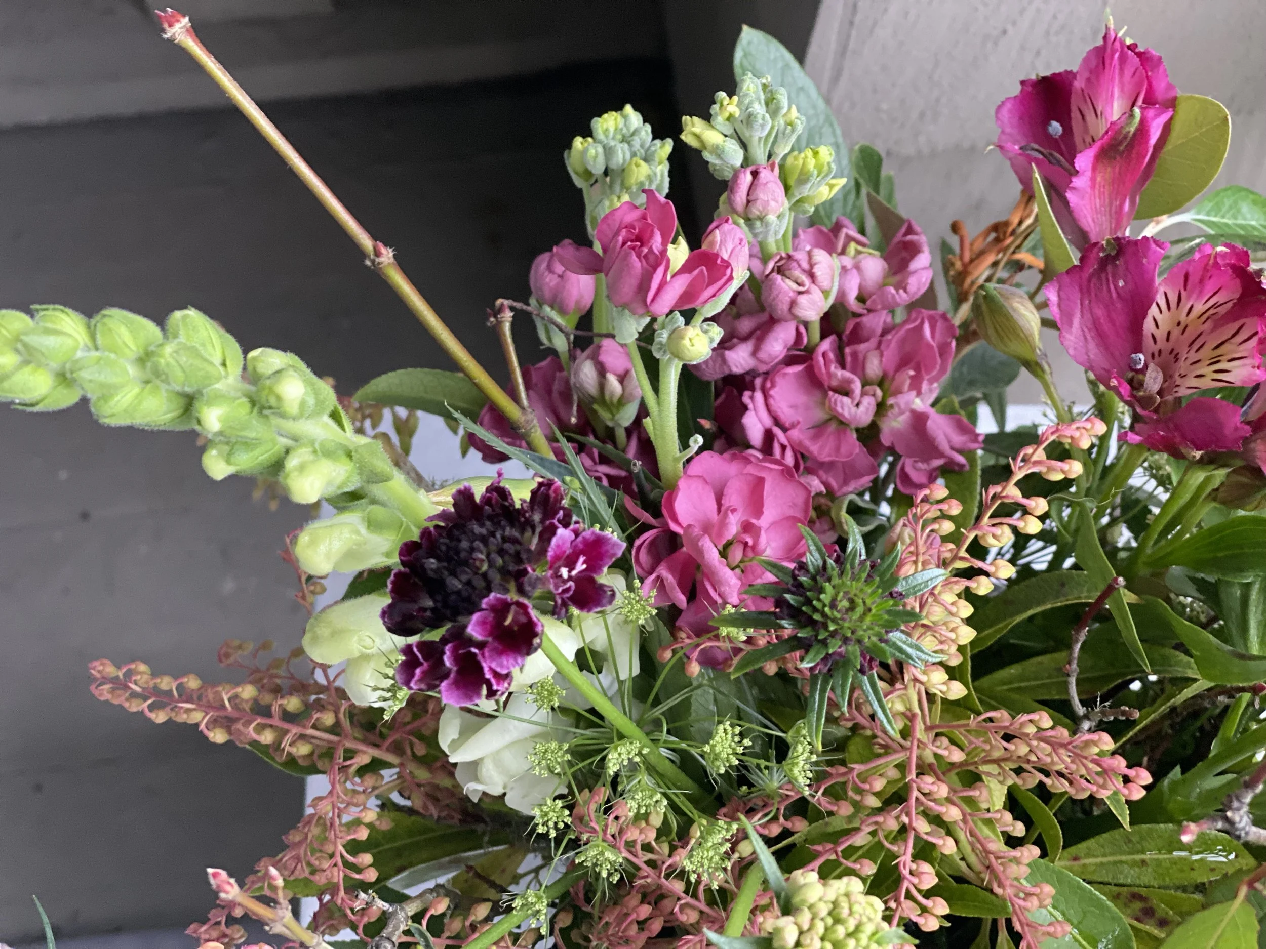 The Most Gorgeous…Gratitude.