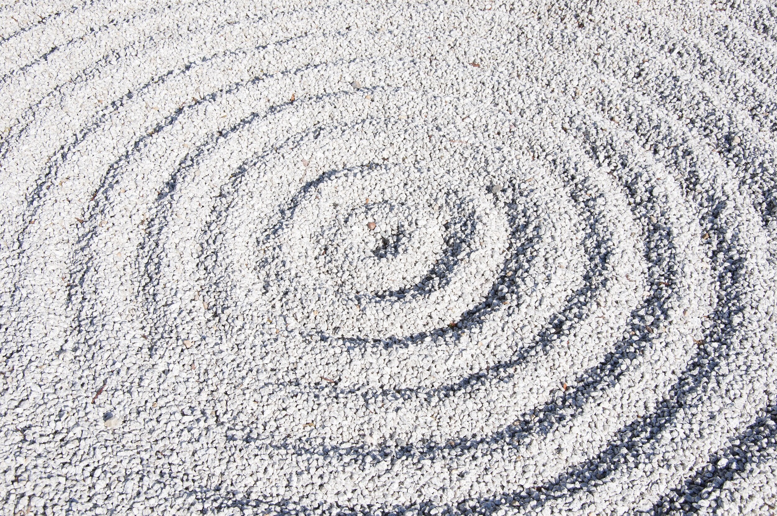 Cultivating “Shoshin”, the beginner’s mind