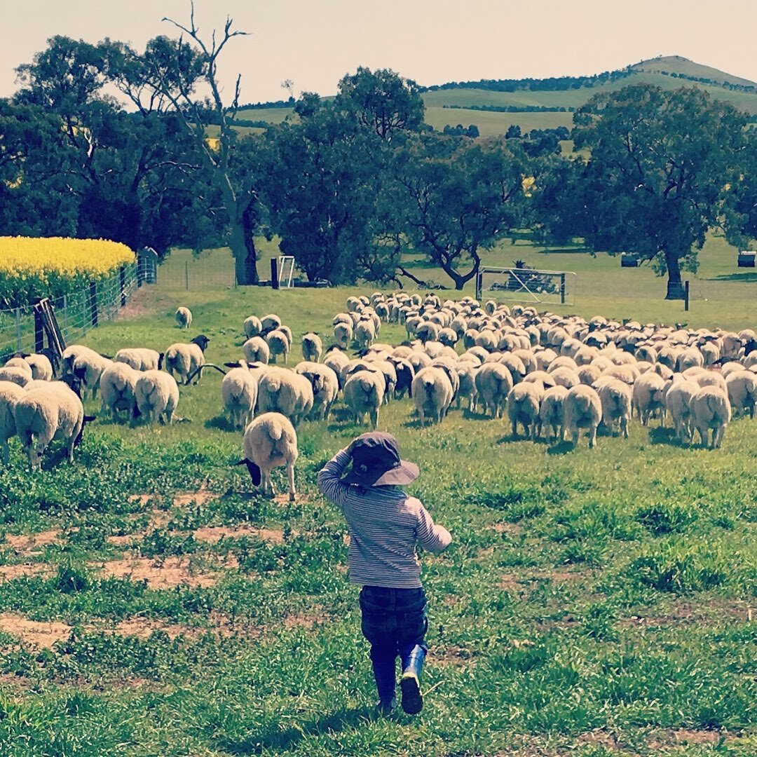 Mustering time.