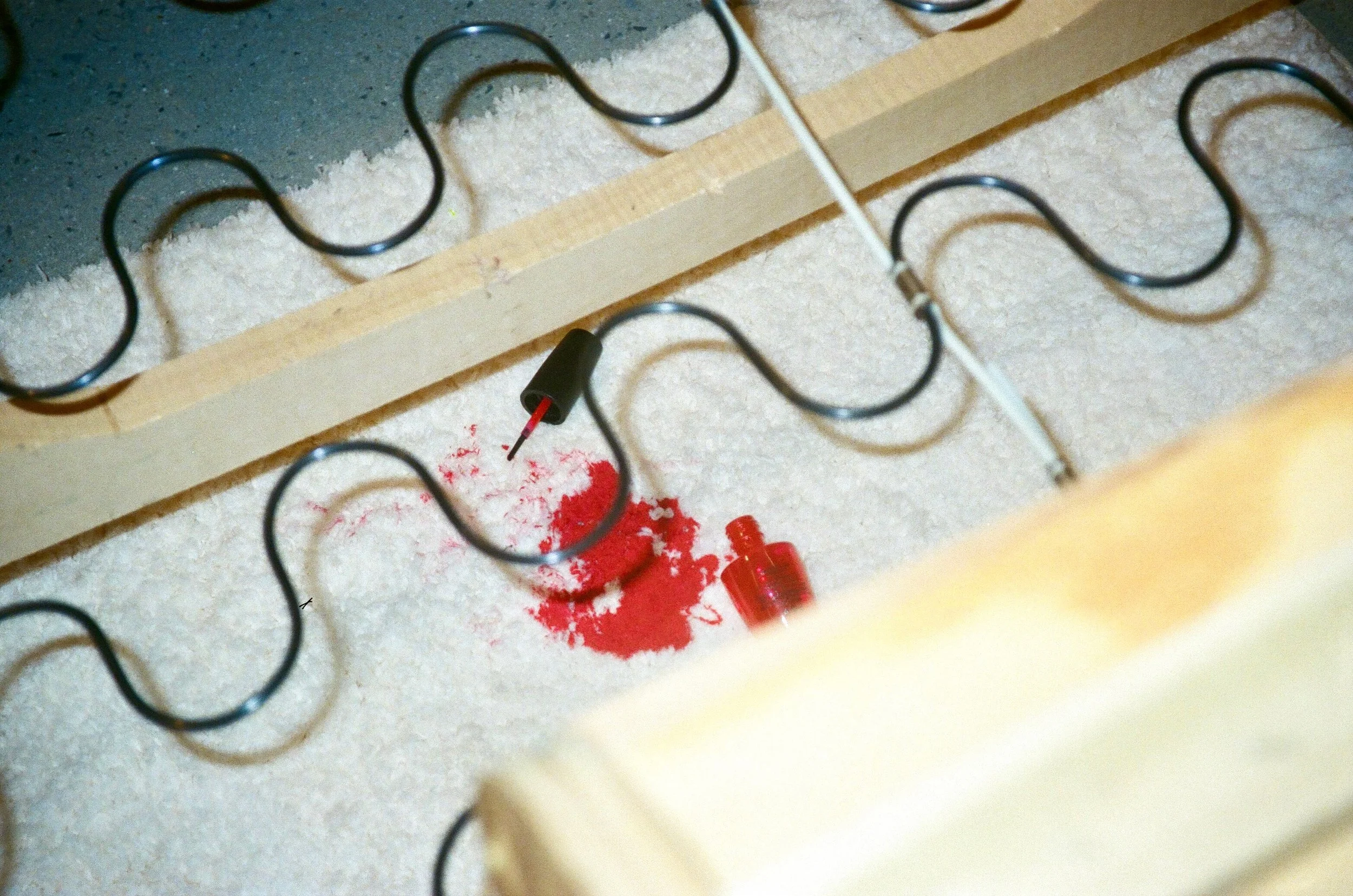 IMG_9069.JPEG
