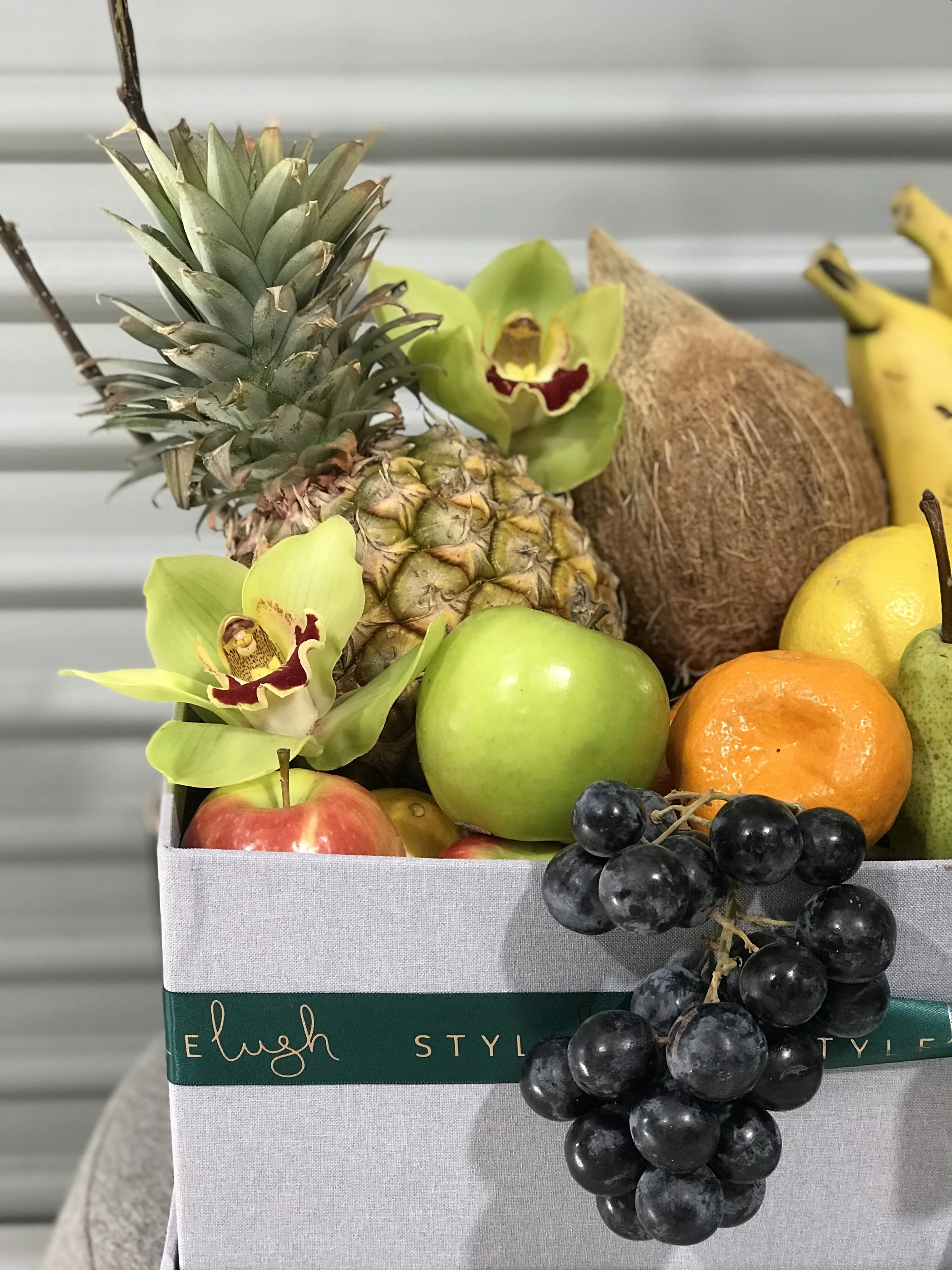 3679679E-223C-4277-B2F1-BF7995D7032E