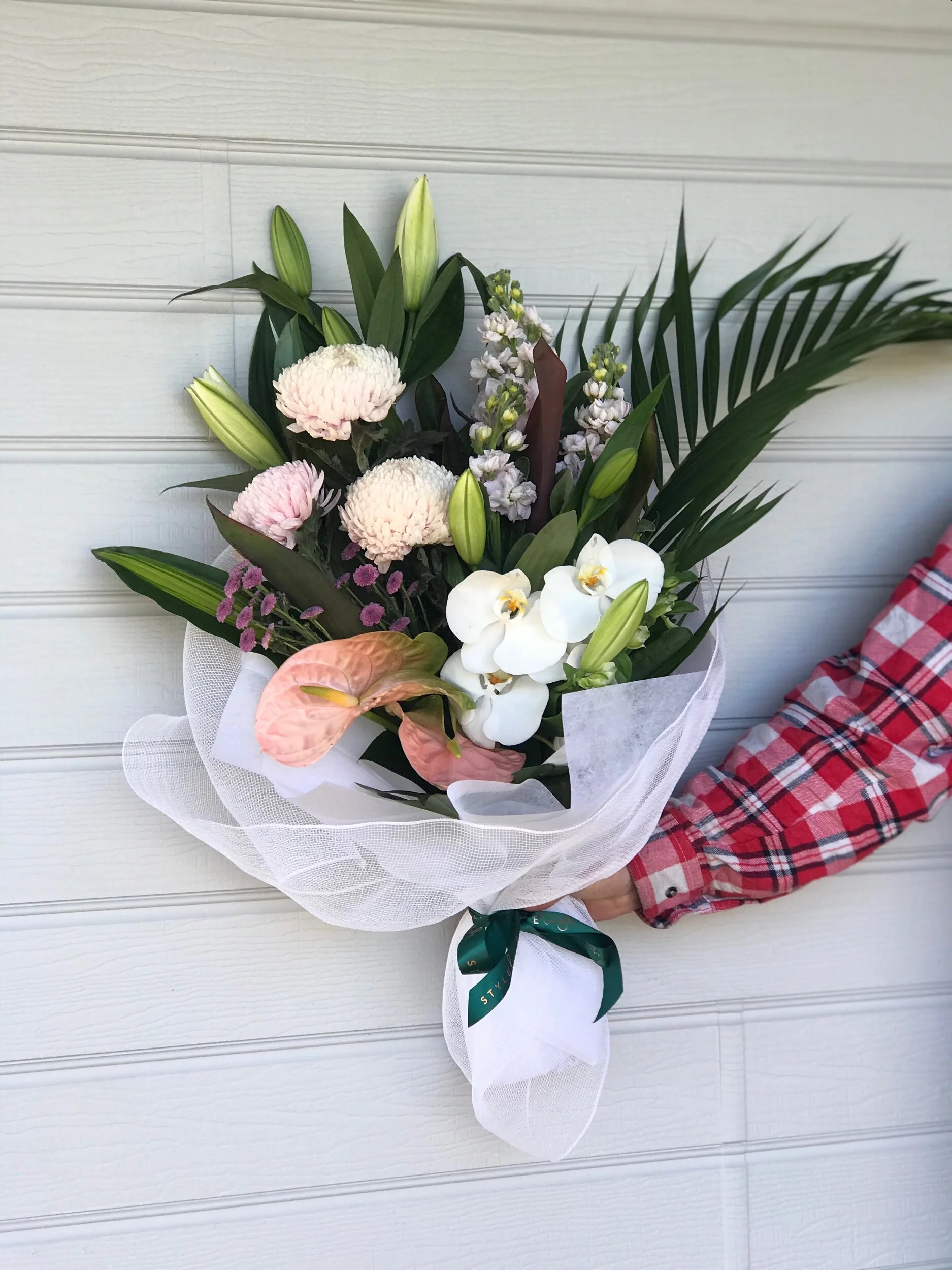 56FA3934-7286-4AEC-85F4-23A58C1B0843