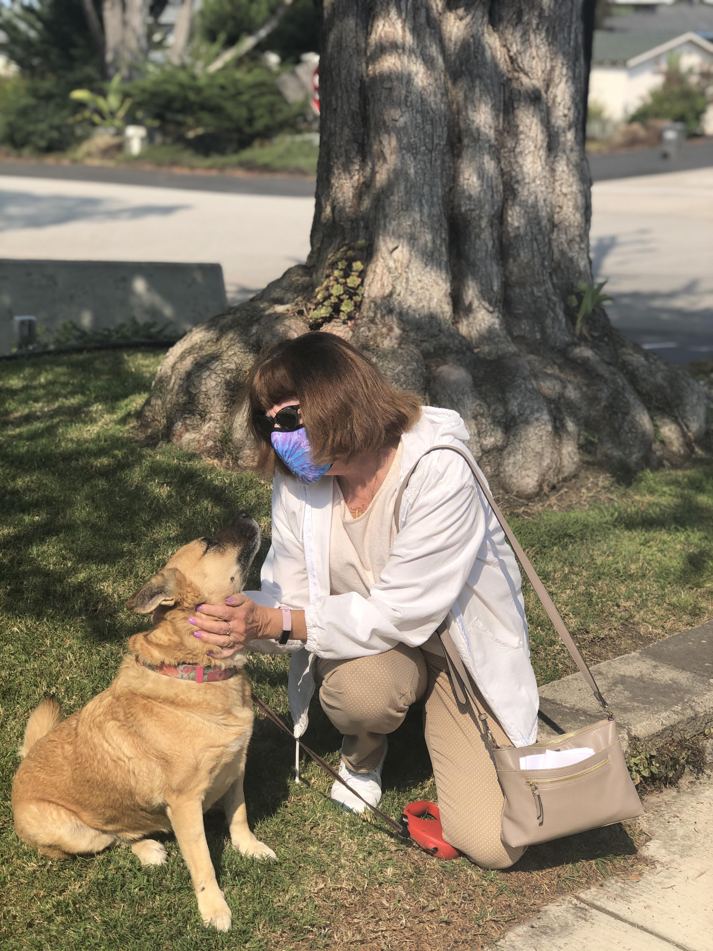 Blessing of the Animals - Kate Anderson.jpg