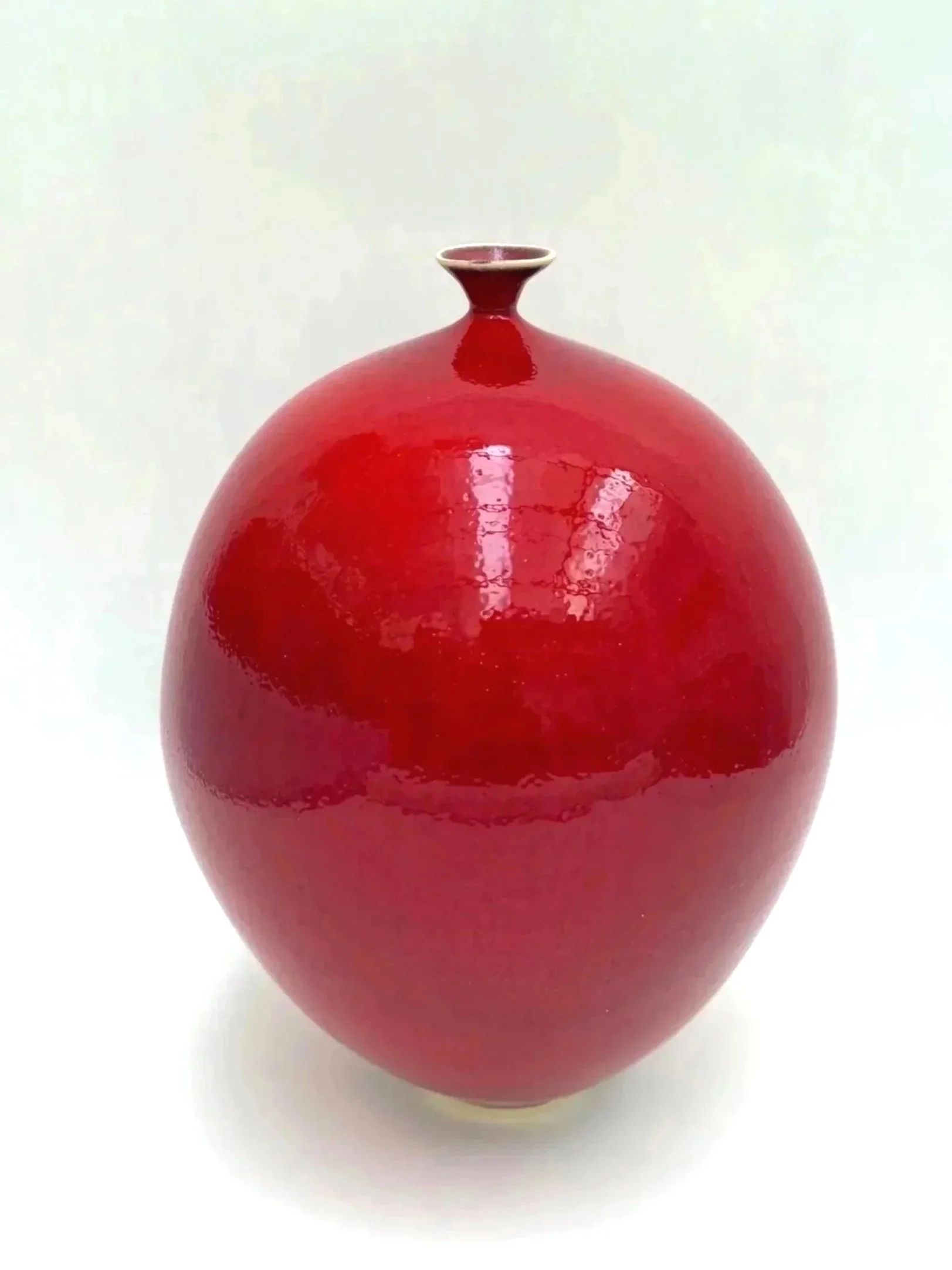 Pomme d'Amour 2024 (3)