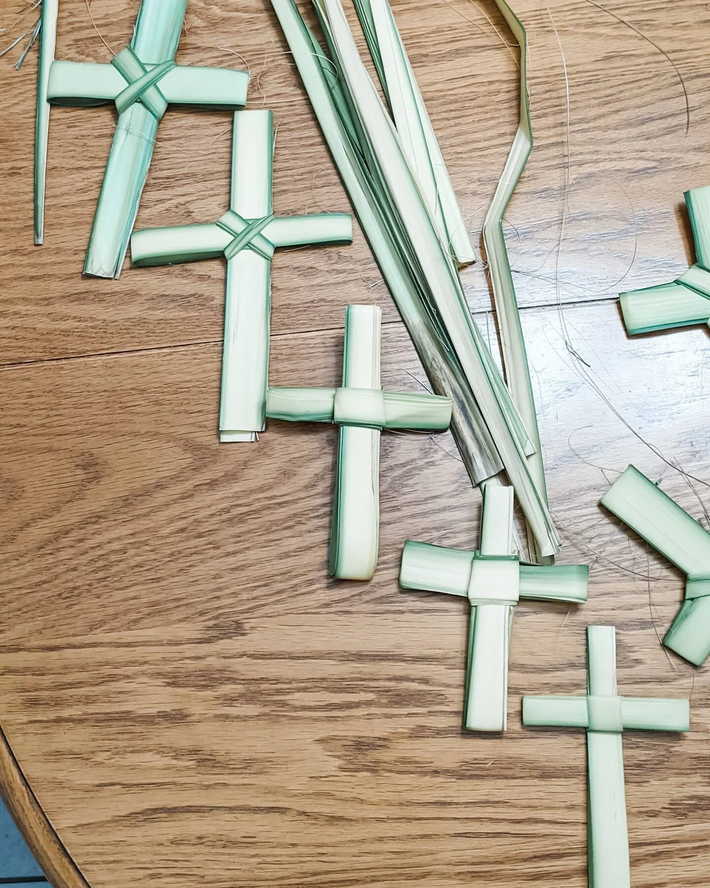 First time making palm crosses. My church did not give them out this year but my boyfriend's church did! 

#palmsunday #catholiclife #catholic #catholicconvert #catholicchurch