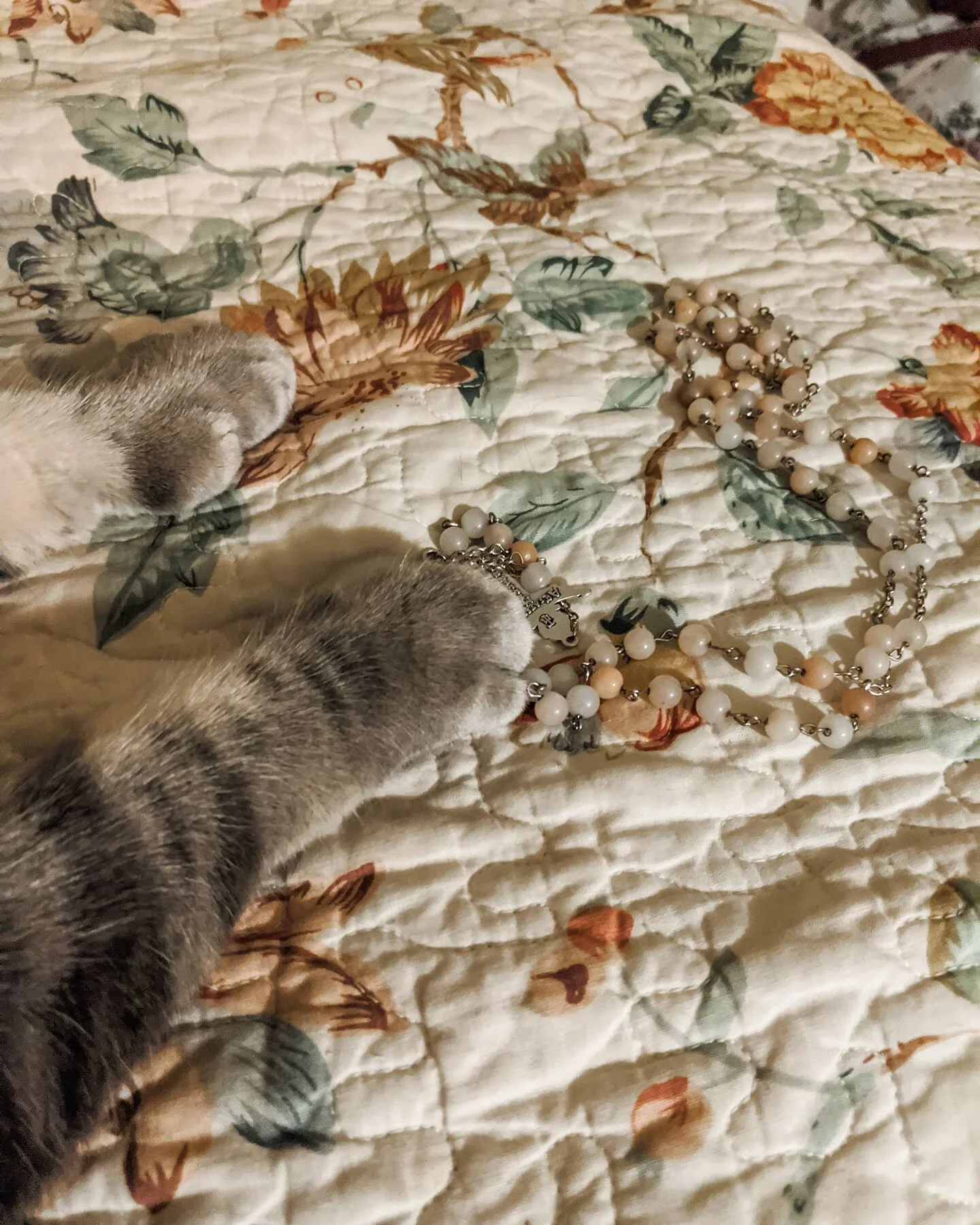 Paws off my religion 🐾

As someone who was a previous Catholic &quot;canceller&quot; I understand the perspective catholic haters have towards the Church. I think a lot of the tention stems from Western arrogance in North America. As someone who doe