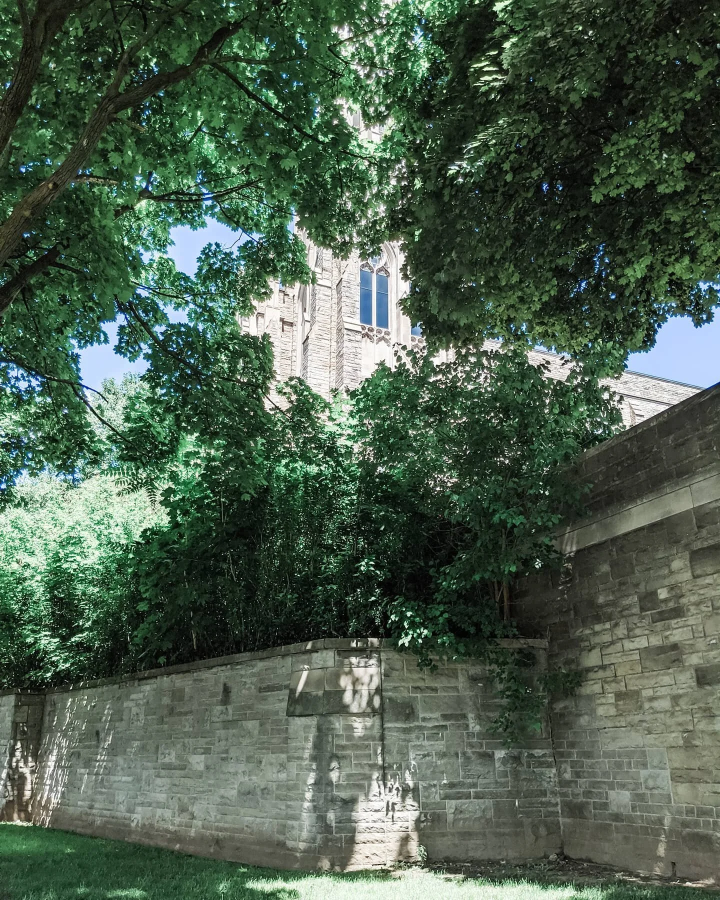 Another Sunday spent outside the Cathedral. My anxiety is getting the best of me I fear going into the Church and observing Mass. I pray for the boldness to enter into the presence of Jesus in the Eucharist. 
It's funny because I've been in this chur