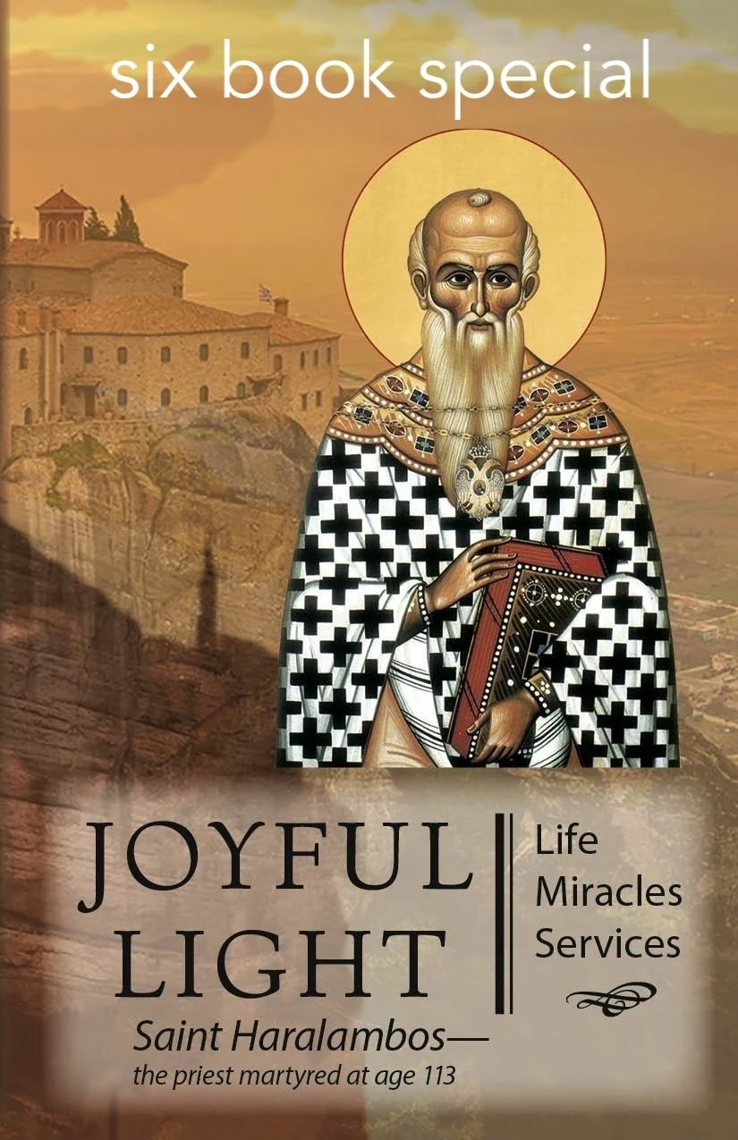 Joyful+Light+Cover+for+screen+%26+12 book copy.jpg