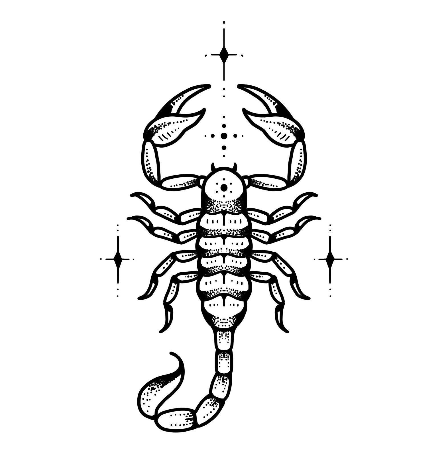 *new*  SCORPIO 
Starting at $250+ (5" min)