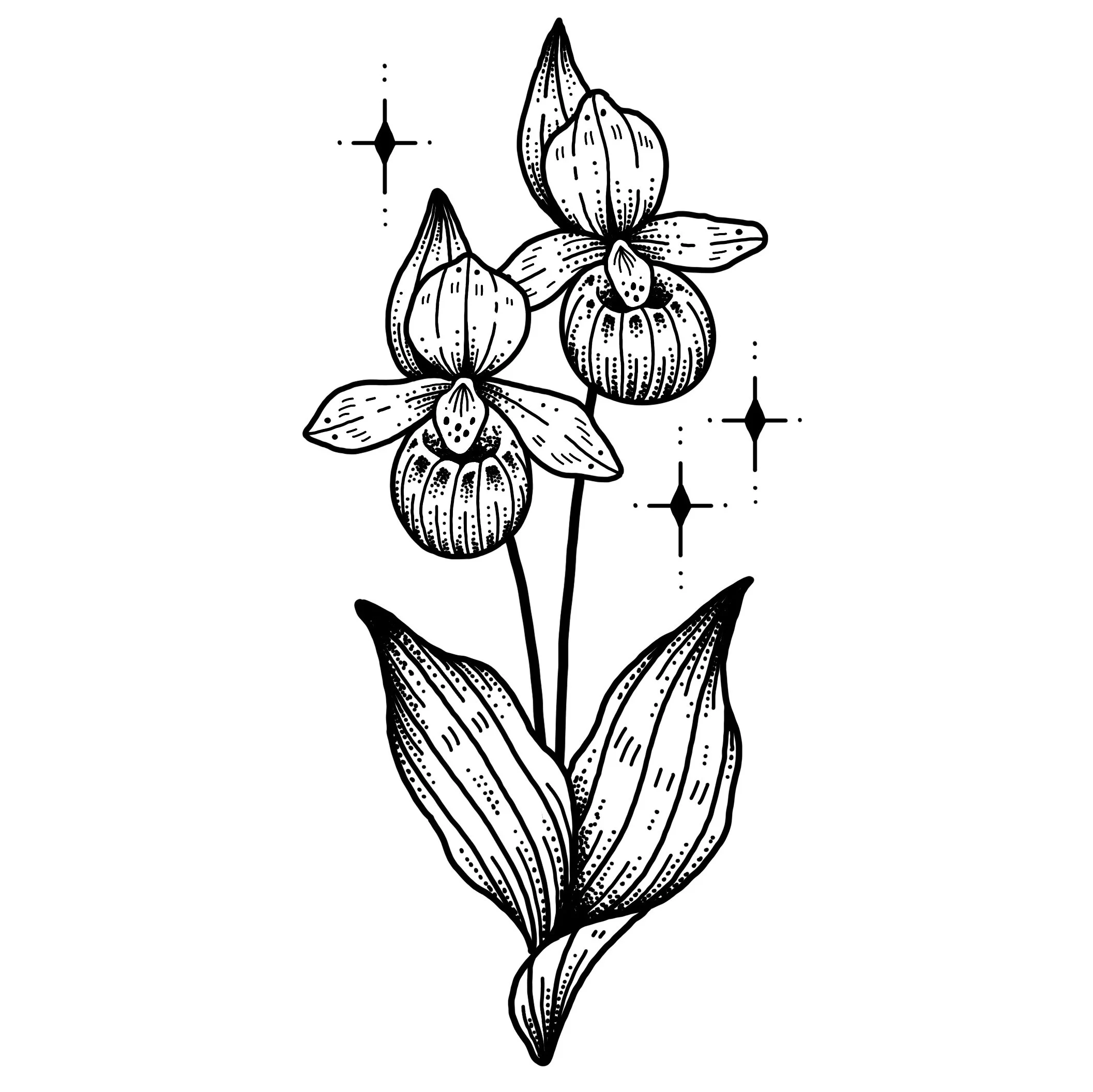 *new*  LADY SLIPPERS 
Starting at $400+ (6" min) 