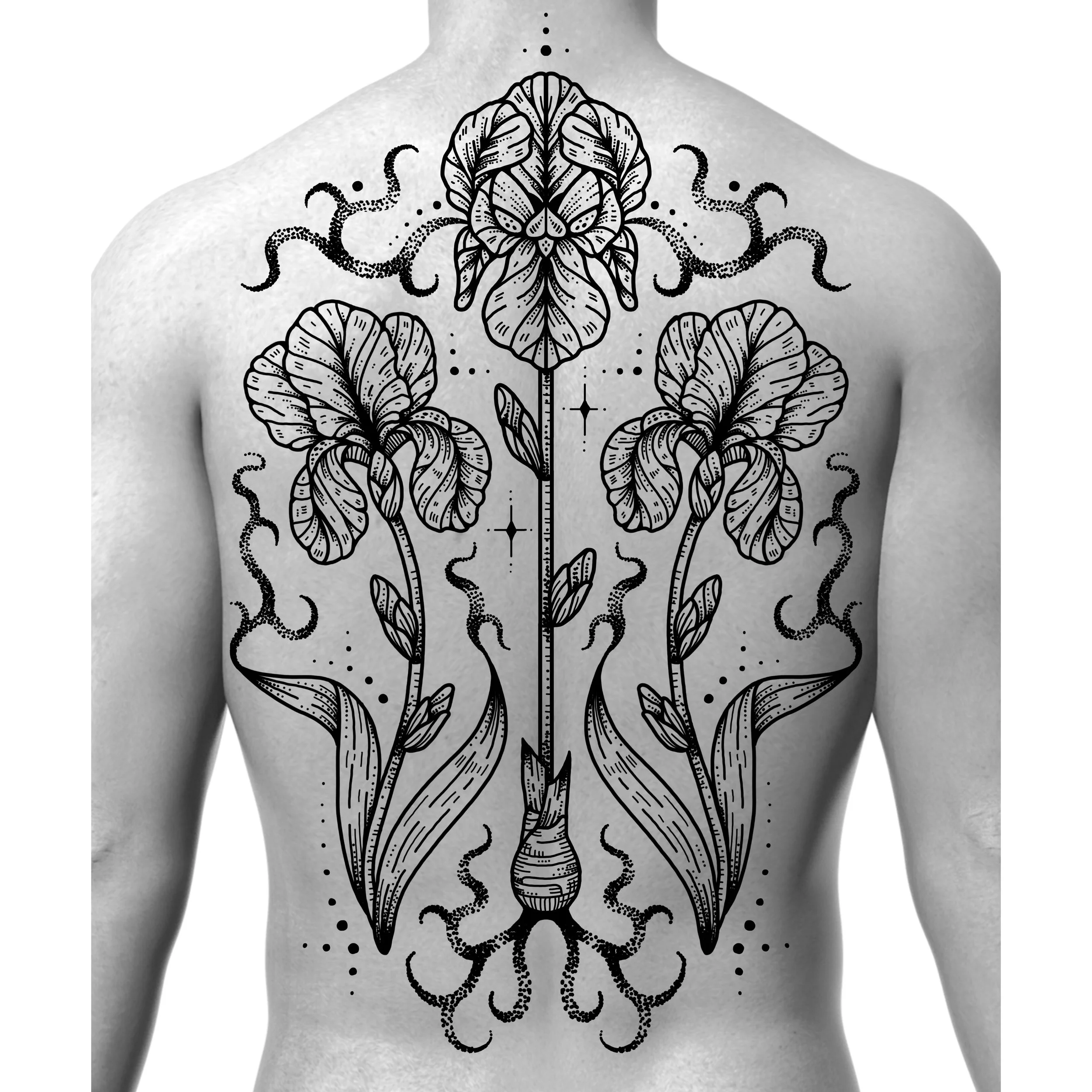 IRIS BACK EXAMPLE 2.jpg