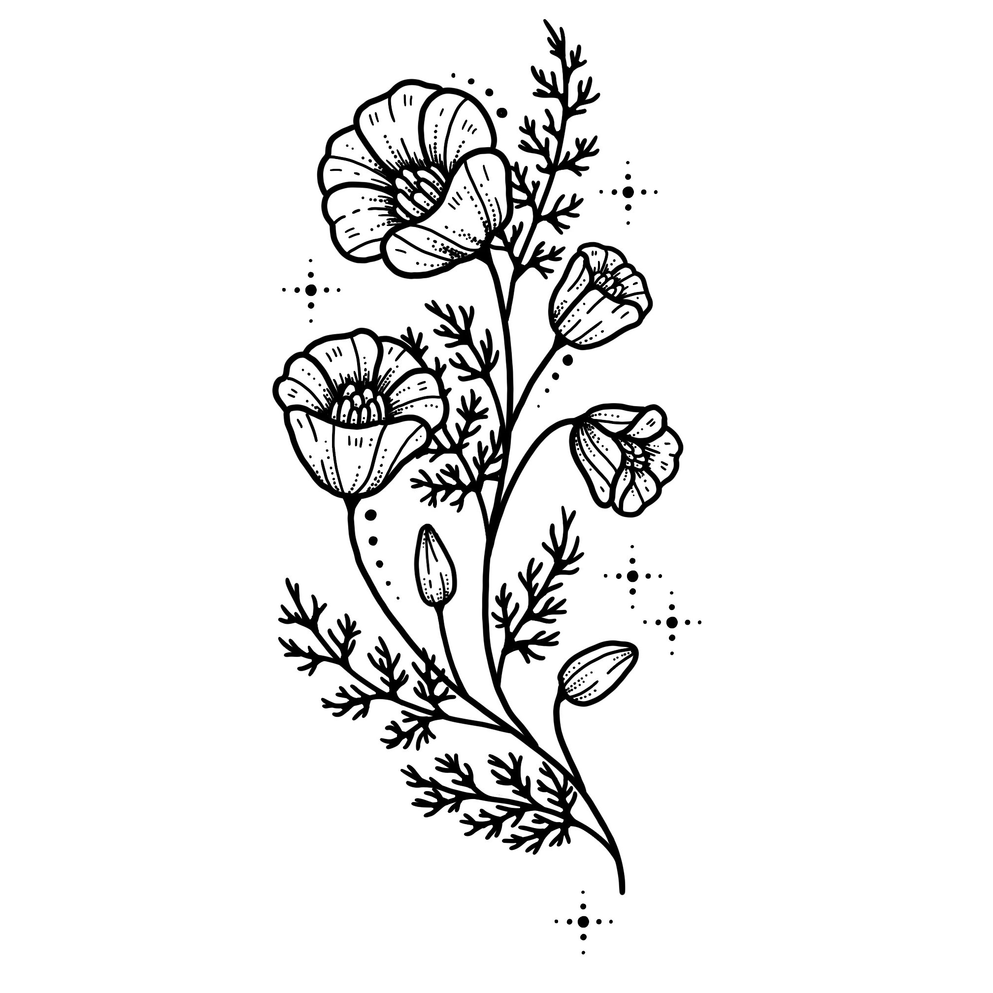 *new*  POPPIES 
Starting at $350+ (6" min)