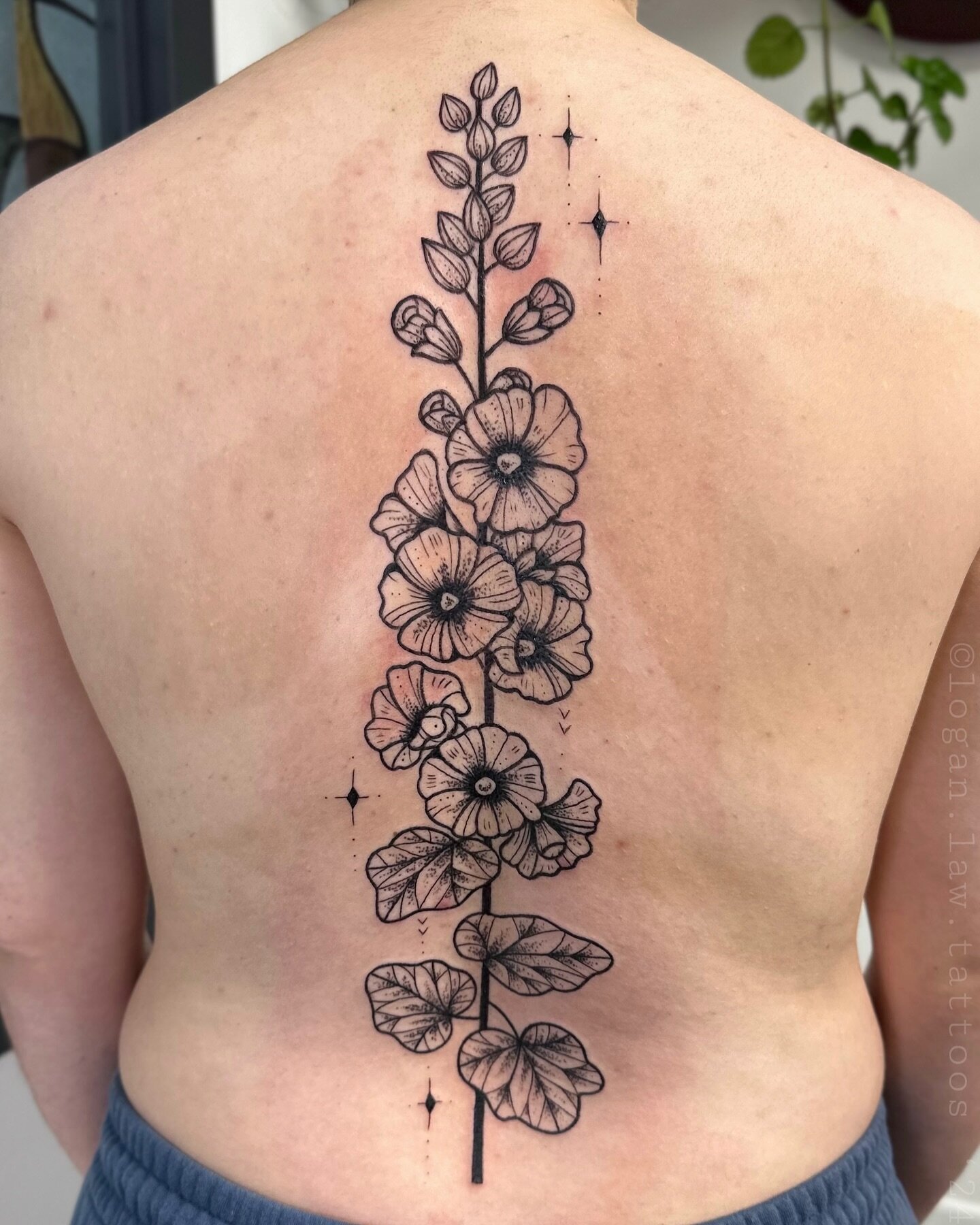 Hollyhock back piece done in about 4 hours ✣ thank you so much Elide! Done at @perennialtattoostudio ✦ made with @kurosumitattooink and @goodjudy.ca supplies
&bull;
&bull;
&bull;
#ecotattooing #blackwork #utahtattooartist