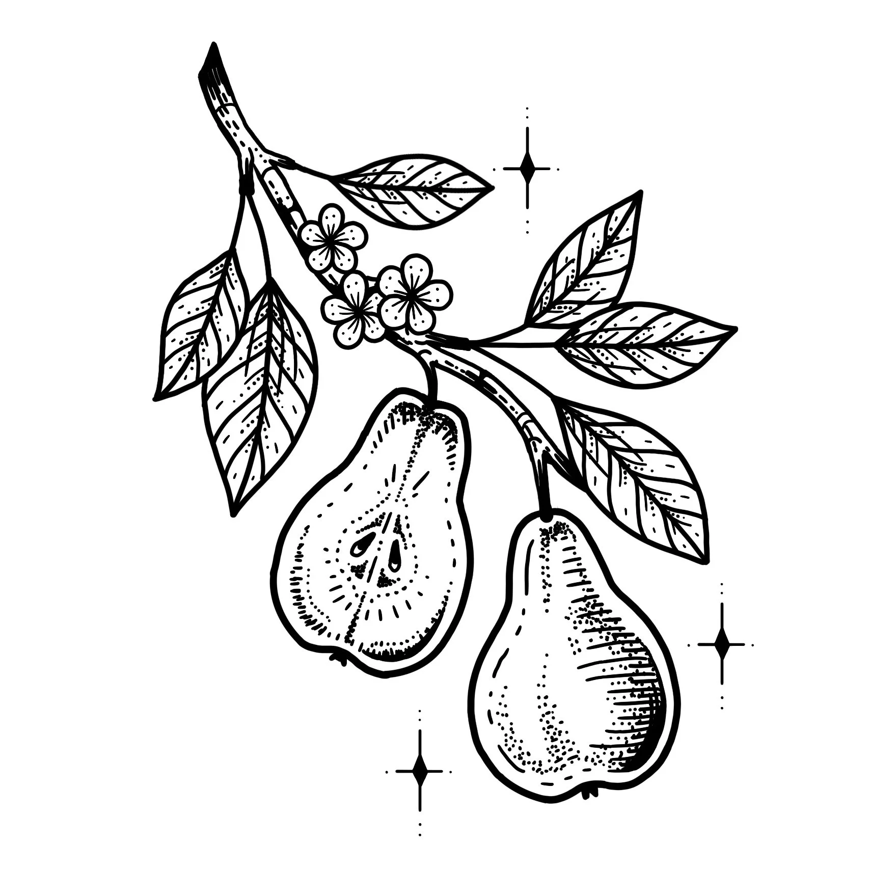  PEAR BRANCH NO.2 
Starting at $400+ (5" min)