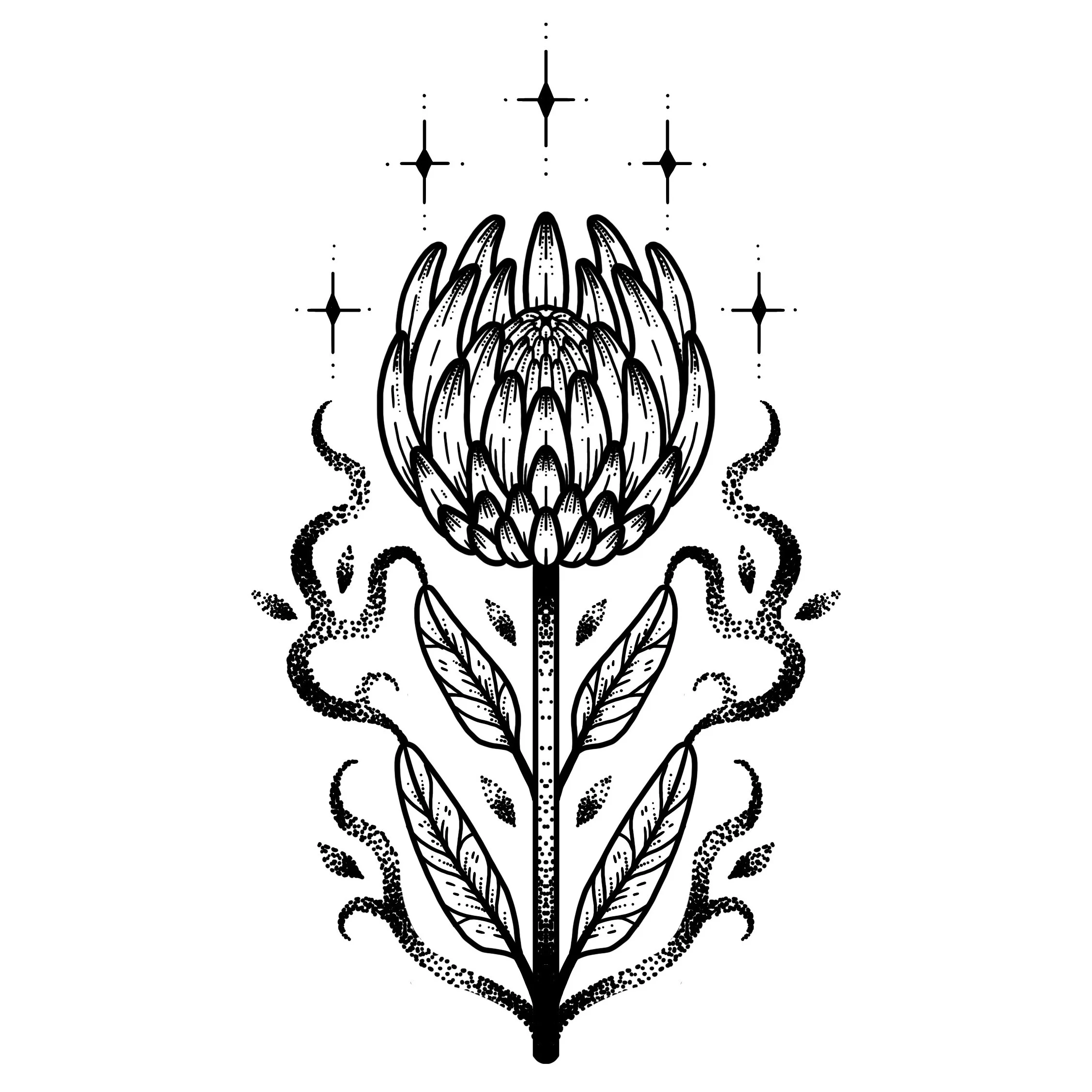 *new*  PROTEA 
Starting at $450+ (5" min)
