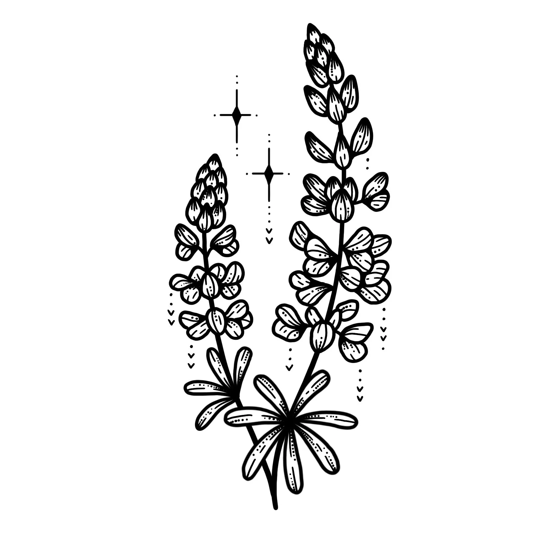 *new*  LUPINE 
Starting at $300+ (5" min)