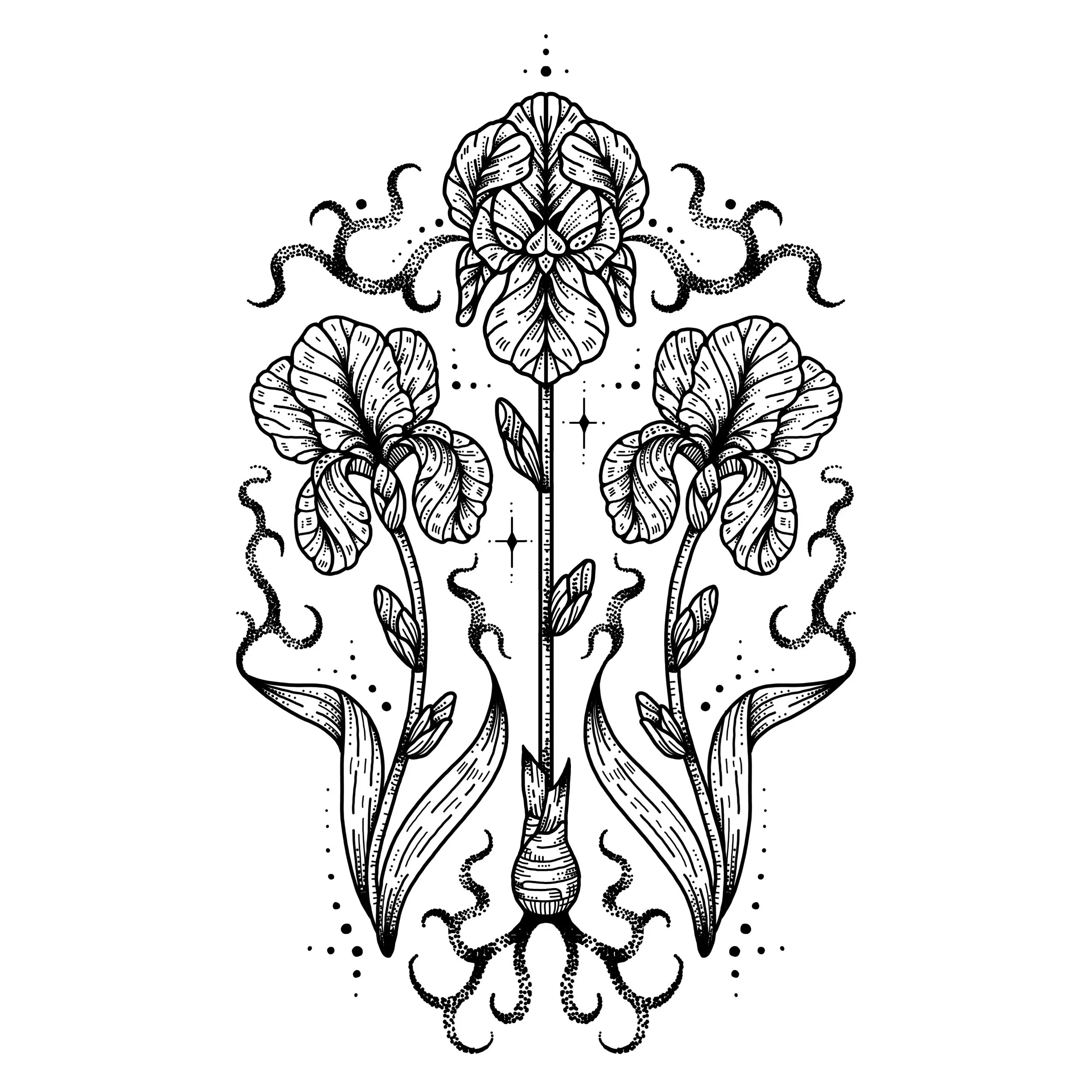  VERSION 2 