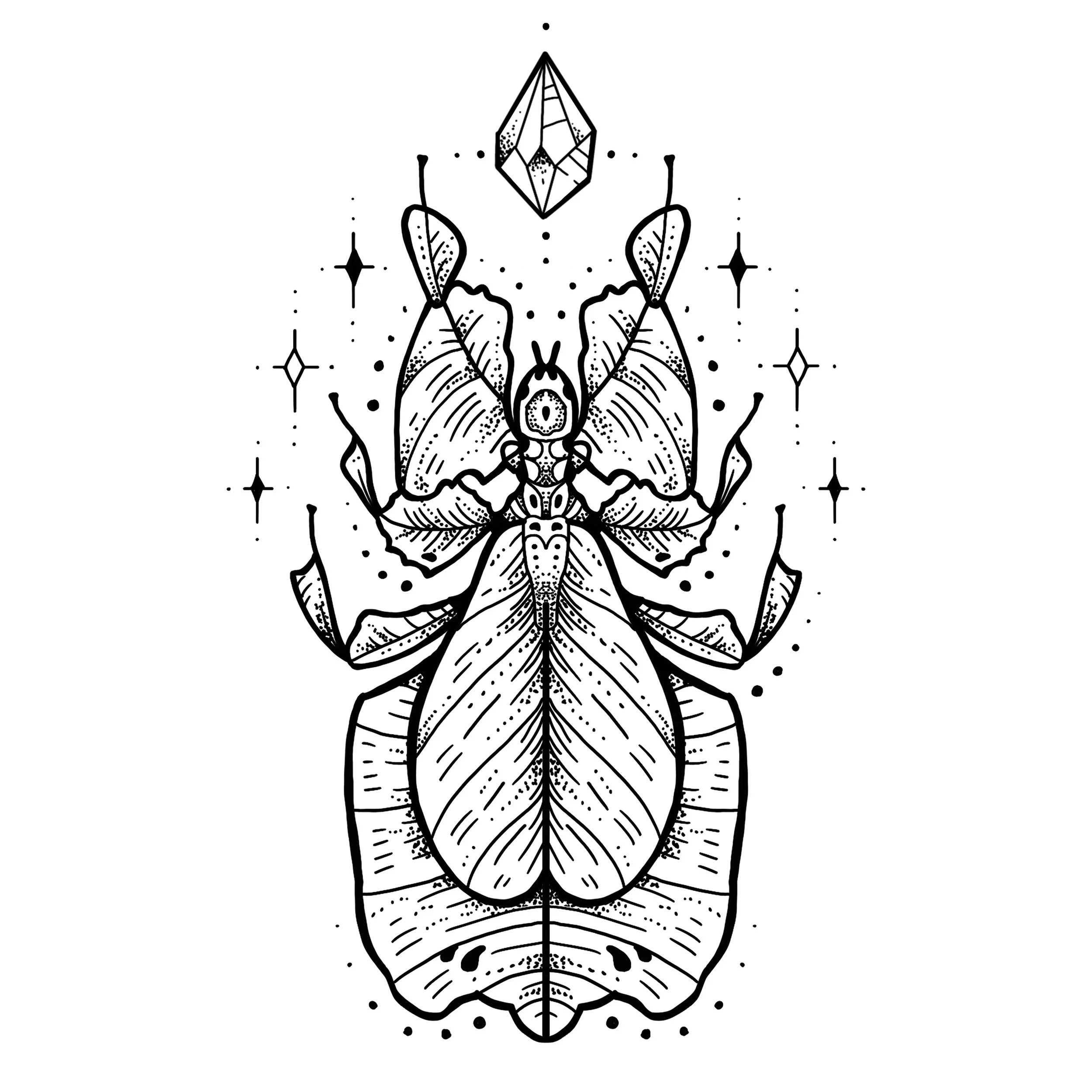  LEAF INSECT 
Starting at $450+ (5" min)