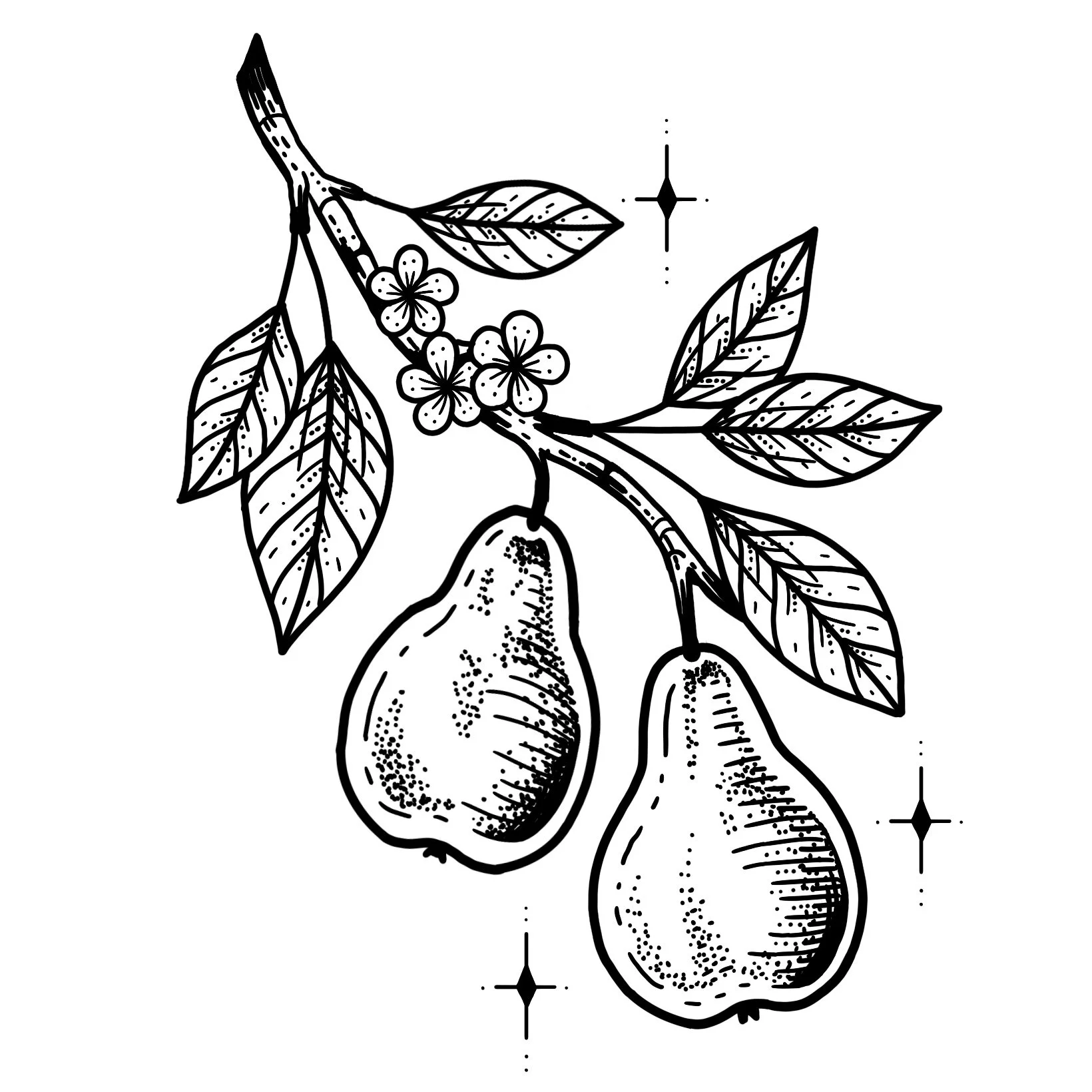 *new*  PEARS 
Starting at $400+ (5" min)