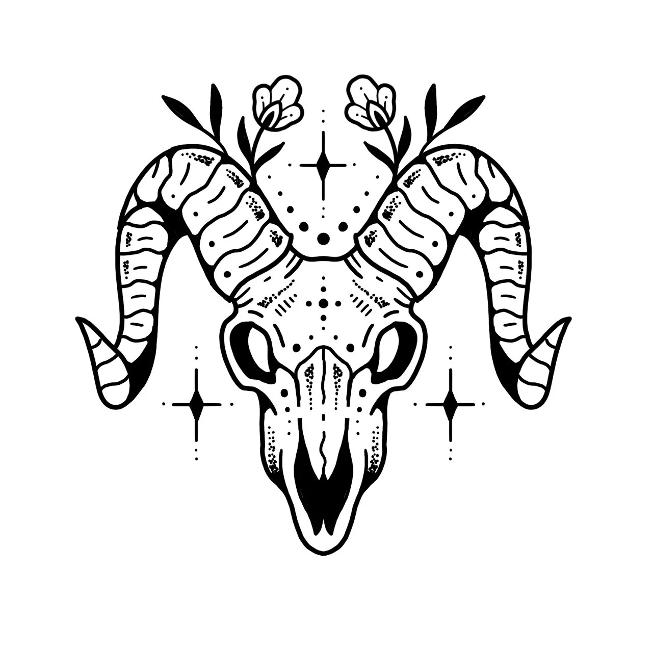 *new*  ARIES 
Starting at $250+ (3.5" min)