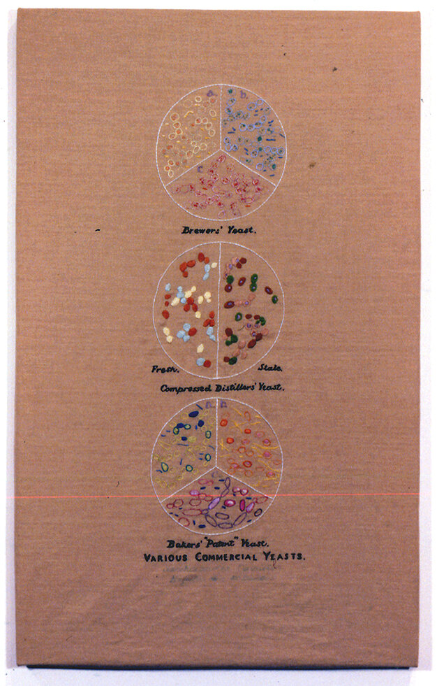 VARIOUS COMMERCIAL YEASTS.jpg