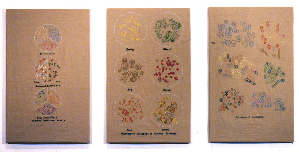Embroidered Starches, 1997
