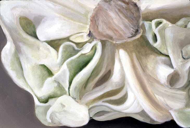 Detail, Ancestral Cabbage