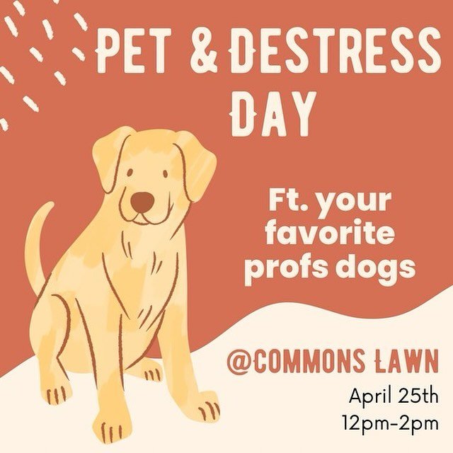 DOGS. COMMONS LAWN. FOR YOU