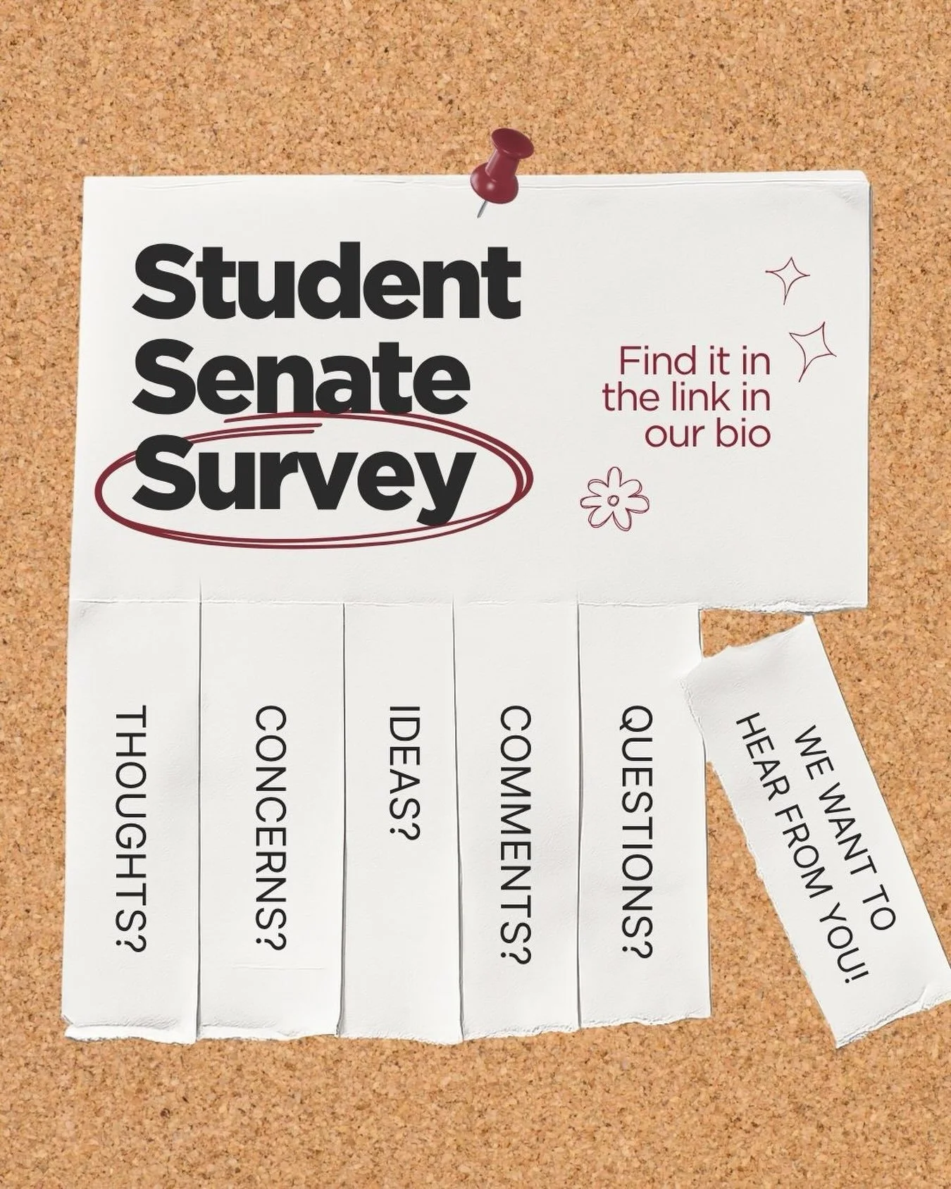 WE WANT TO HEAR FROM YOU!

Make your voice heard by filling out the 2026 Student Senate Survey! This is your chance to share your thoughts on campus life, resources, academics, and everything in between. The survey is anonymous, and we value your hon