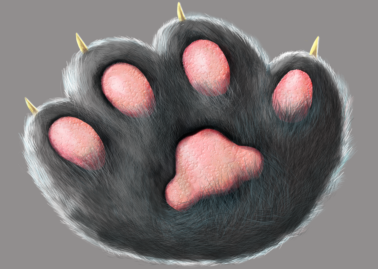 bigpaw.png