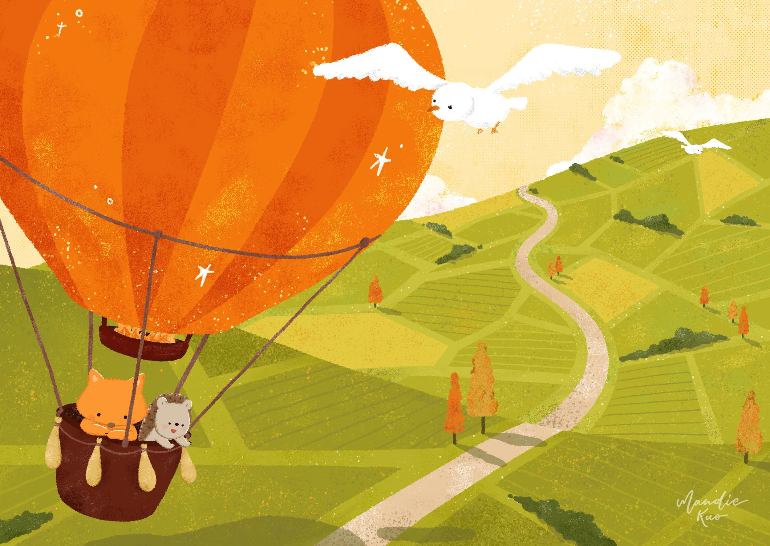 above the farmland_小小飛行家.jpg